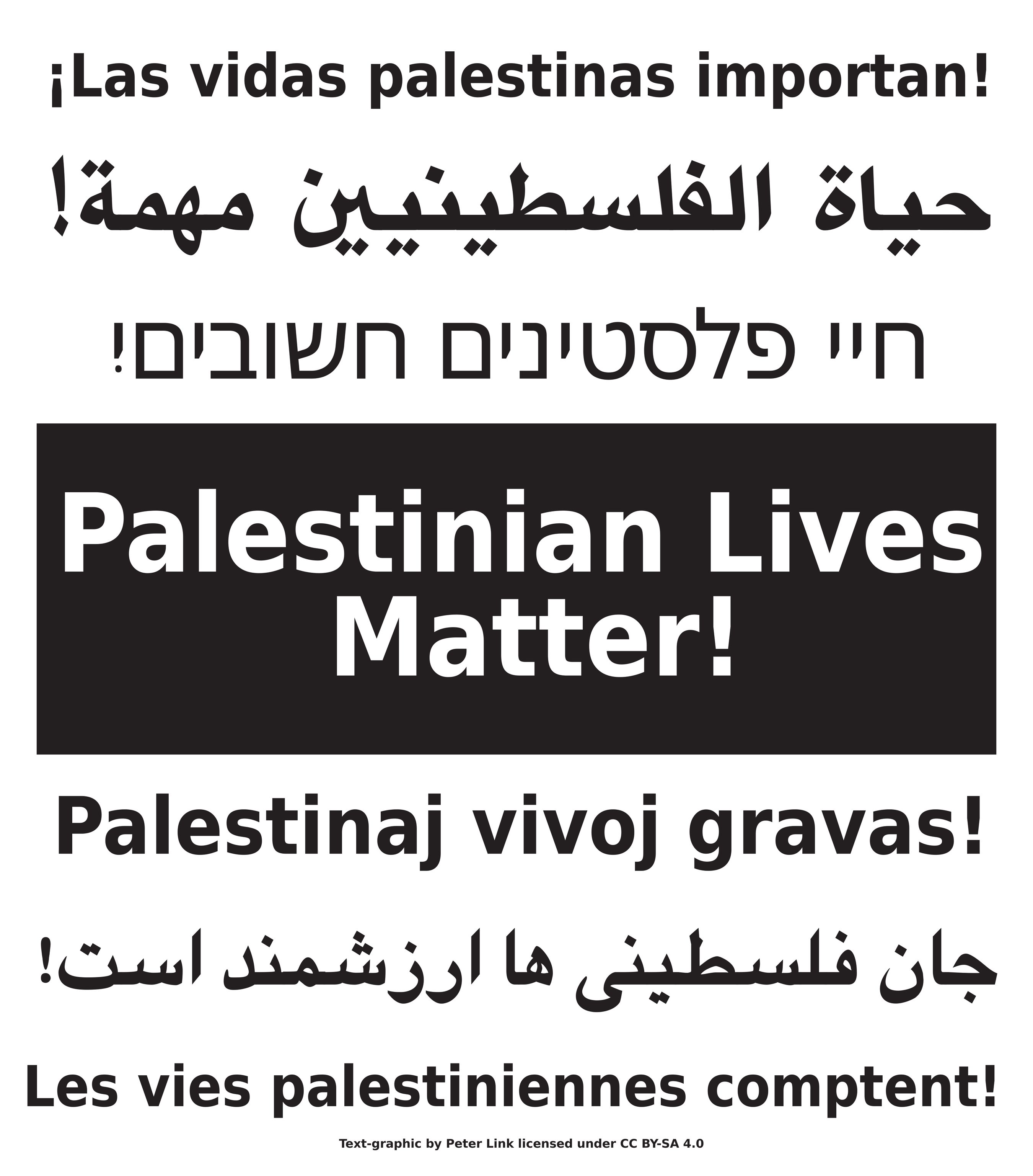 Text-graphic file showing "Palestinian Lives Matter" in large white text over a black box, with the same slogan in 6 other languages. Spanish, Arabic, Hebrew, above. Esperanto, Farsi, and French below.