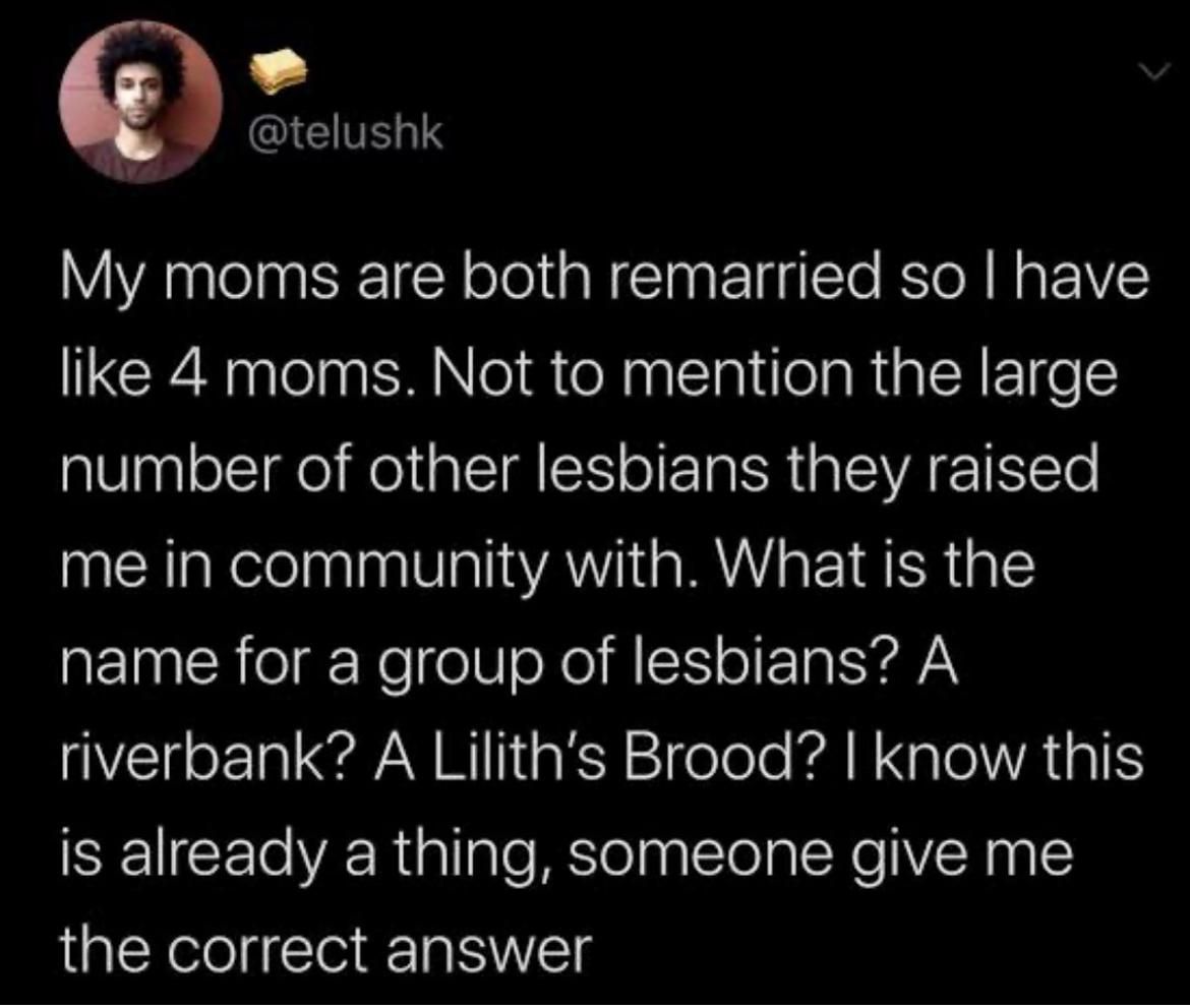 Screenshot of a post that says:

My moms are both remarried so I have like 4 moms. Not to mention the large number of other lesbians they raised me in community with. What is the name for a group of lesbians? A riverbank? A Lilith's Brood? I know this is already a thing, someone give me the correct answer