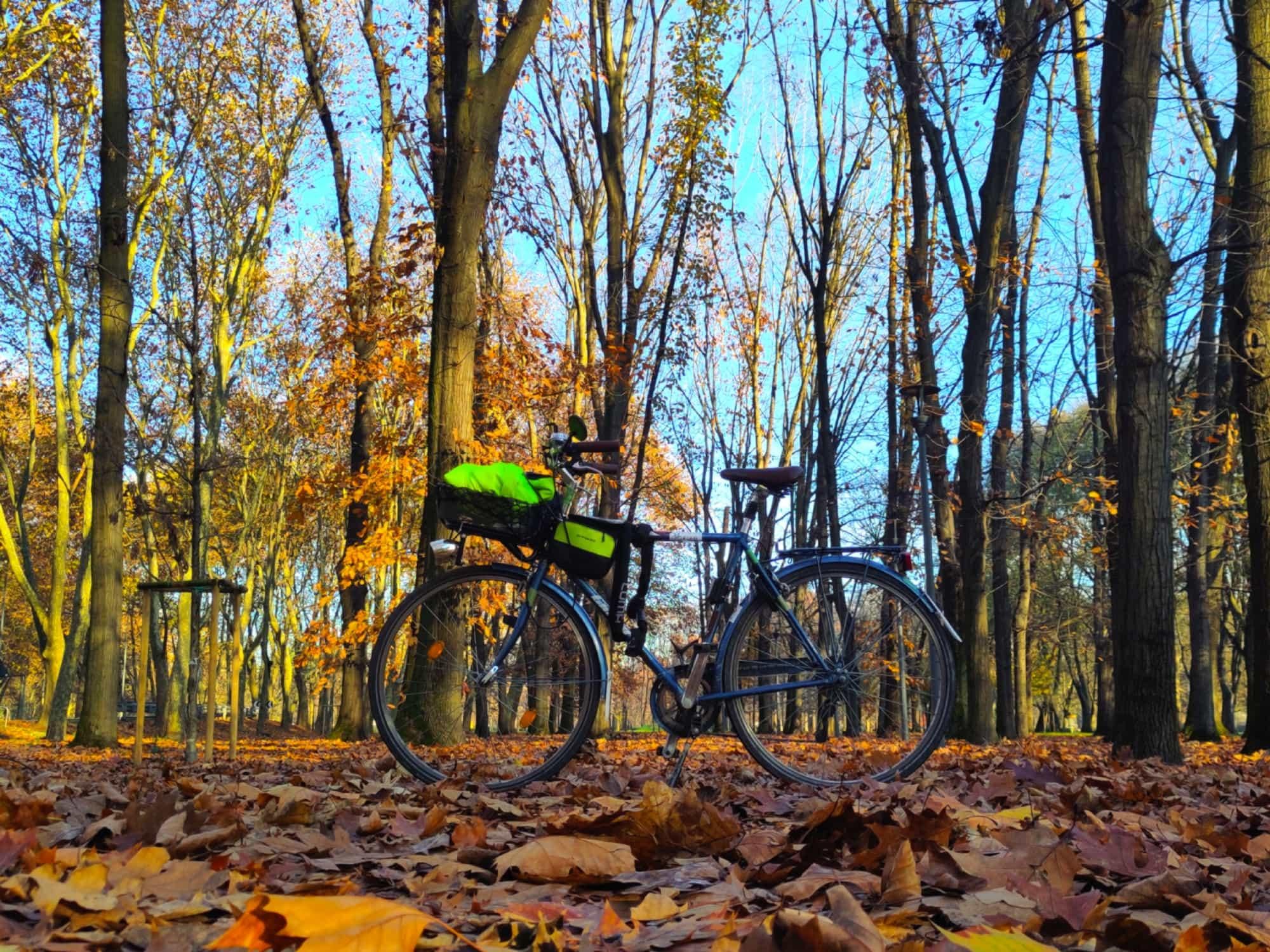 Foto di lato della mia bici blu vista dal basso in un parco in mezzo agli alberi quasi spogli. Il terreno è completamente coperto di foglie. Dietro agli alberi si vede il cielo azzurro