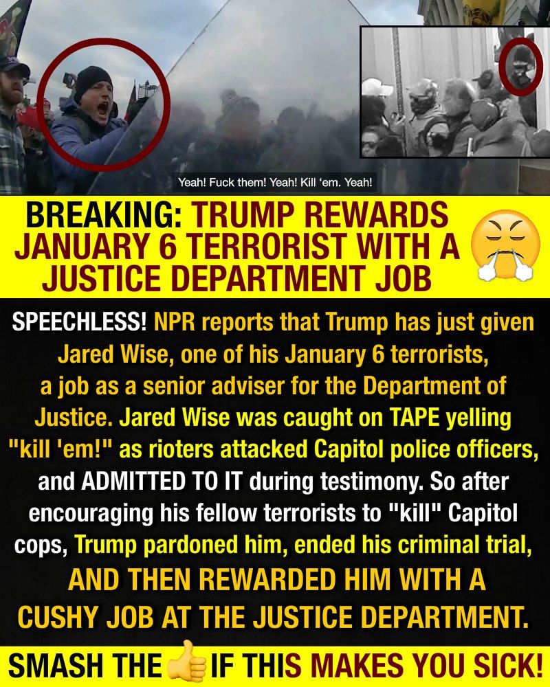 After encouraging his fellow terrorists to "kill" Capitol cops on Jan 6th, Jared Wise has been rewarded by Trump with a pardon and a job in the Justice Department.