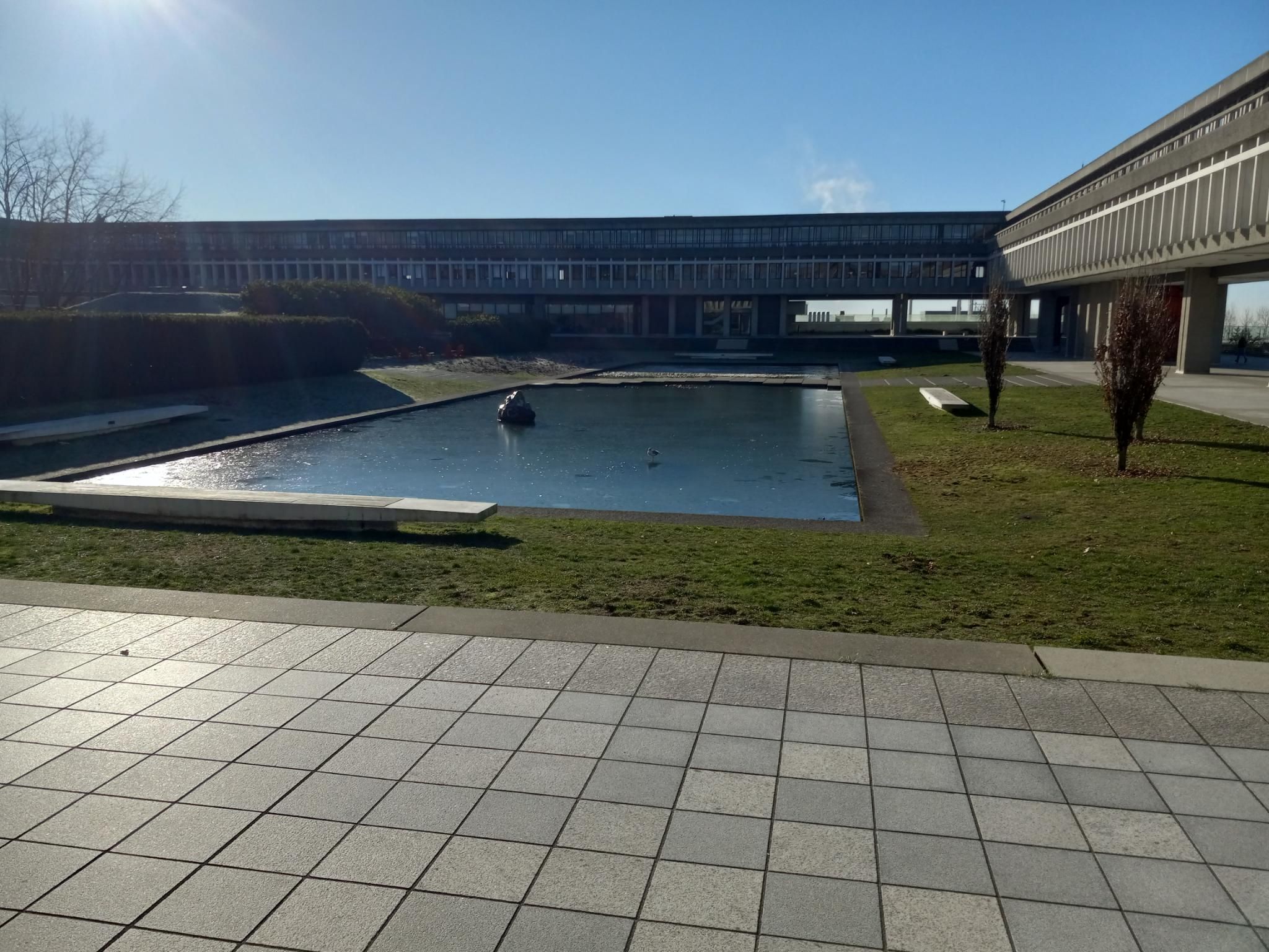 A huge rectangular courtyard surrounded by an elevated concrete narrow building on two sides.  There's a rectangular pond in the middle, with a skim of ice on top, and a very annoyed seagull standing on top of the ice.  It's sunny and the sky is bright blue.