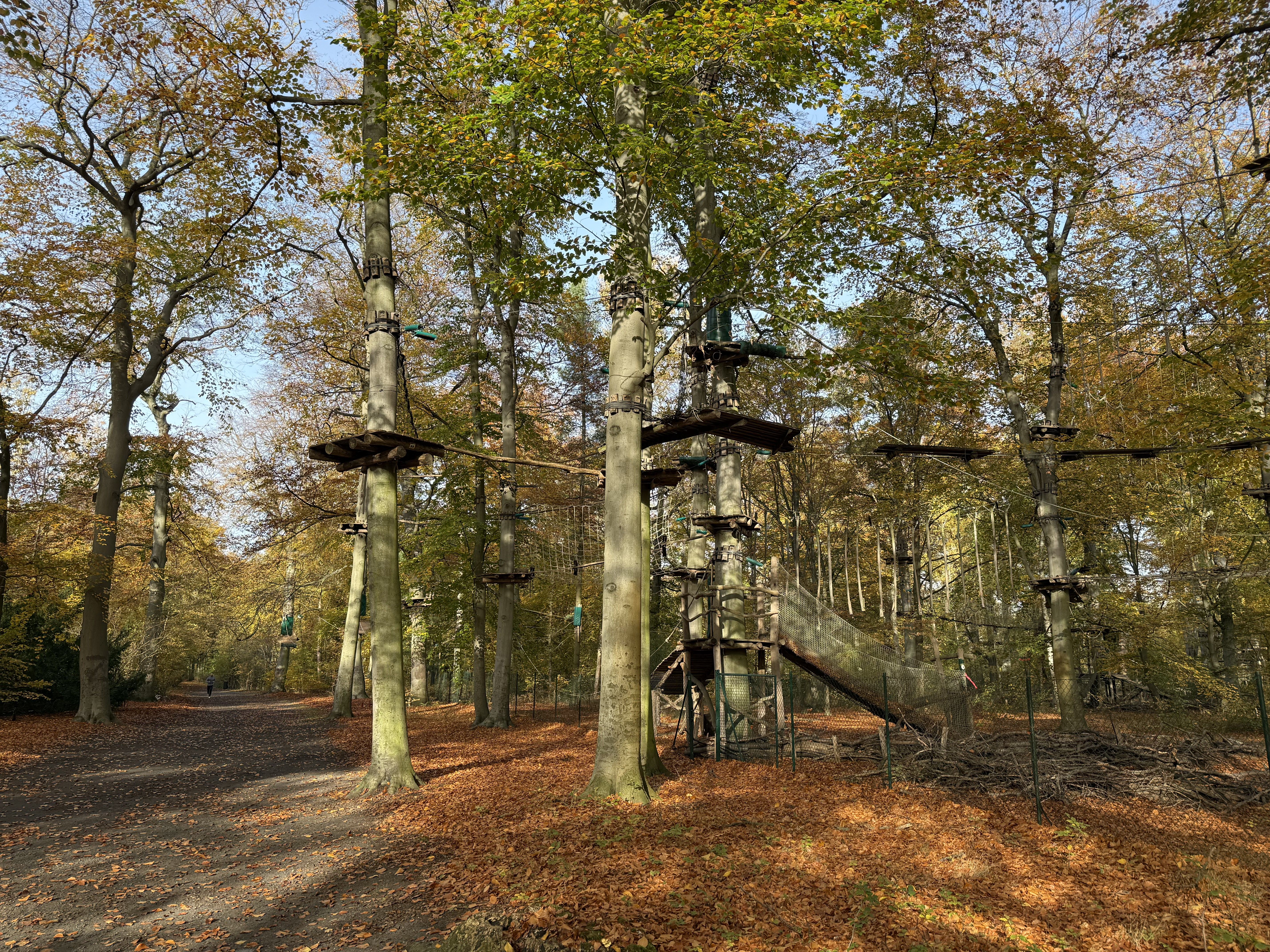 A lot of trees with platforms hanging in them, the platforms have ropes and bridges between them.