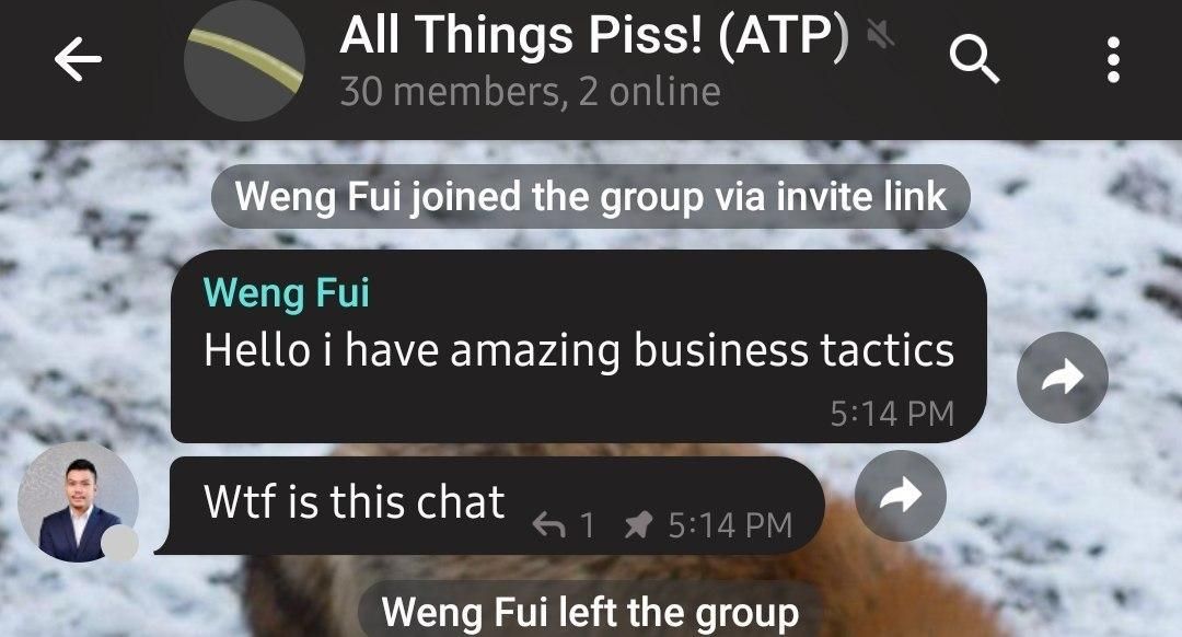 A spammer called Weng Fui with a business suit avatar joins a Telegram group and says "Hello I have amazing business tactics".

He noticed that the group is called "All Things Piss!"

He says "wtf is this chat" and then instantly leaves the group.