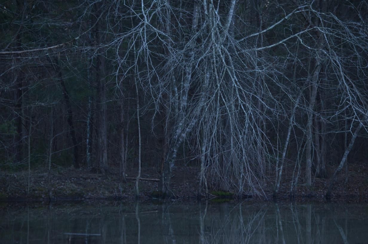 A color digital photo of a pond and the surround area taken from the bank of the pond. The lighting is such that the image is nearly monochrome, however. The surface of the pond reflects the trees on the opposite bank. The trees are mostly young deciduous trees and some of the branches are bent towards the water, creating an almost hair-like image, as if some furry skinny creature were standing on the bank. There is the int of evergreens (pines, cedars) in the background. Fallen leaves litter the surface of the ground beneath the spindly skeletal trees. Maybe the trees look to be dancing a bit. The pond water looks murky. It was near nightfall on a cloudy day.