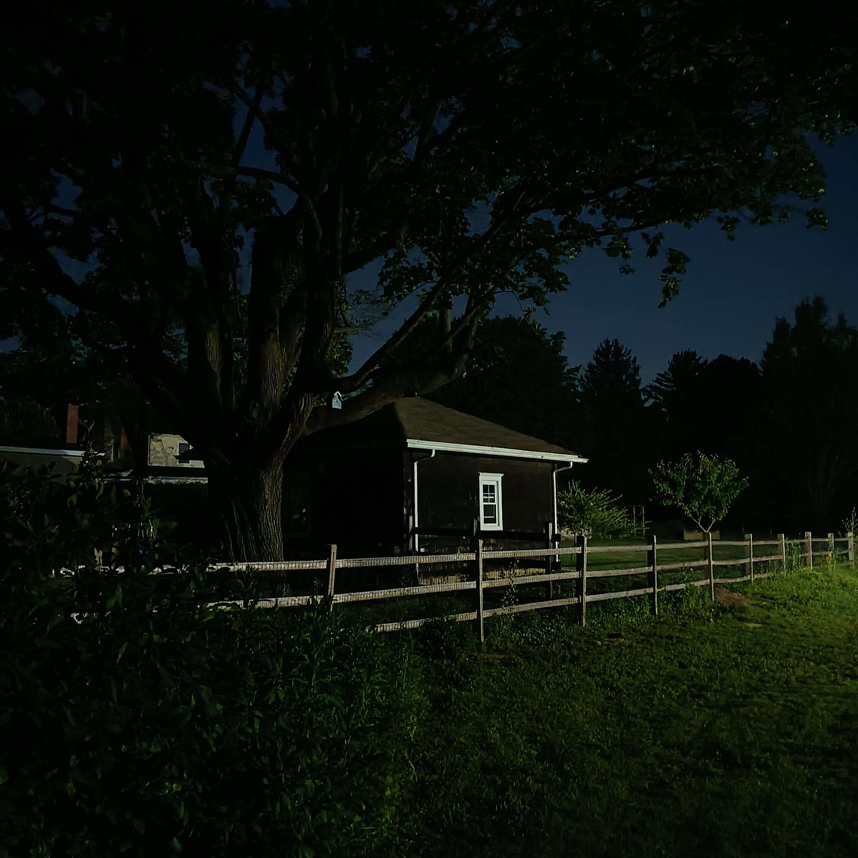 little brown building behind the wood fence and bush, under the big tree with the blue birdhouse, under the dark blue night sky