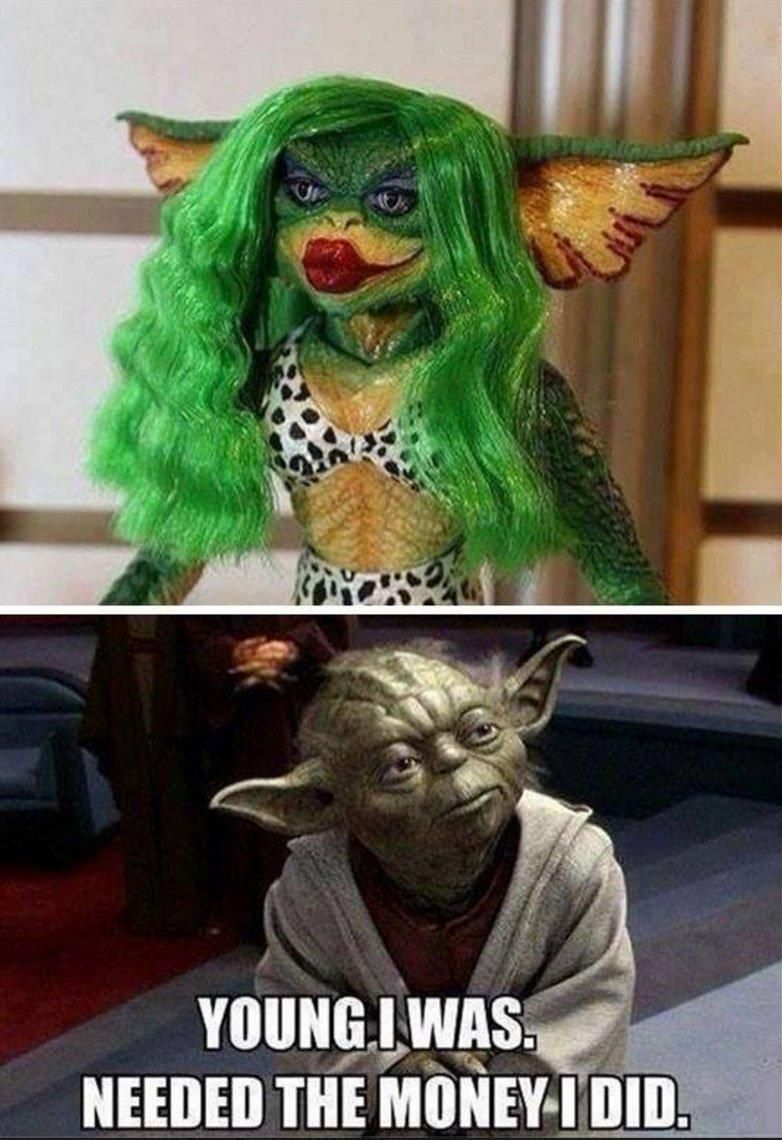 Two panels Top picture, younger Yoda in a long green wig with red lipstick wearing a polka dot bikini. Bottom picture, older Yoda looking up wearing jedi robe. Text on picture reads YOUNG I WAS, NEEDED THE MONEY I DID