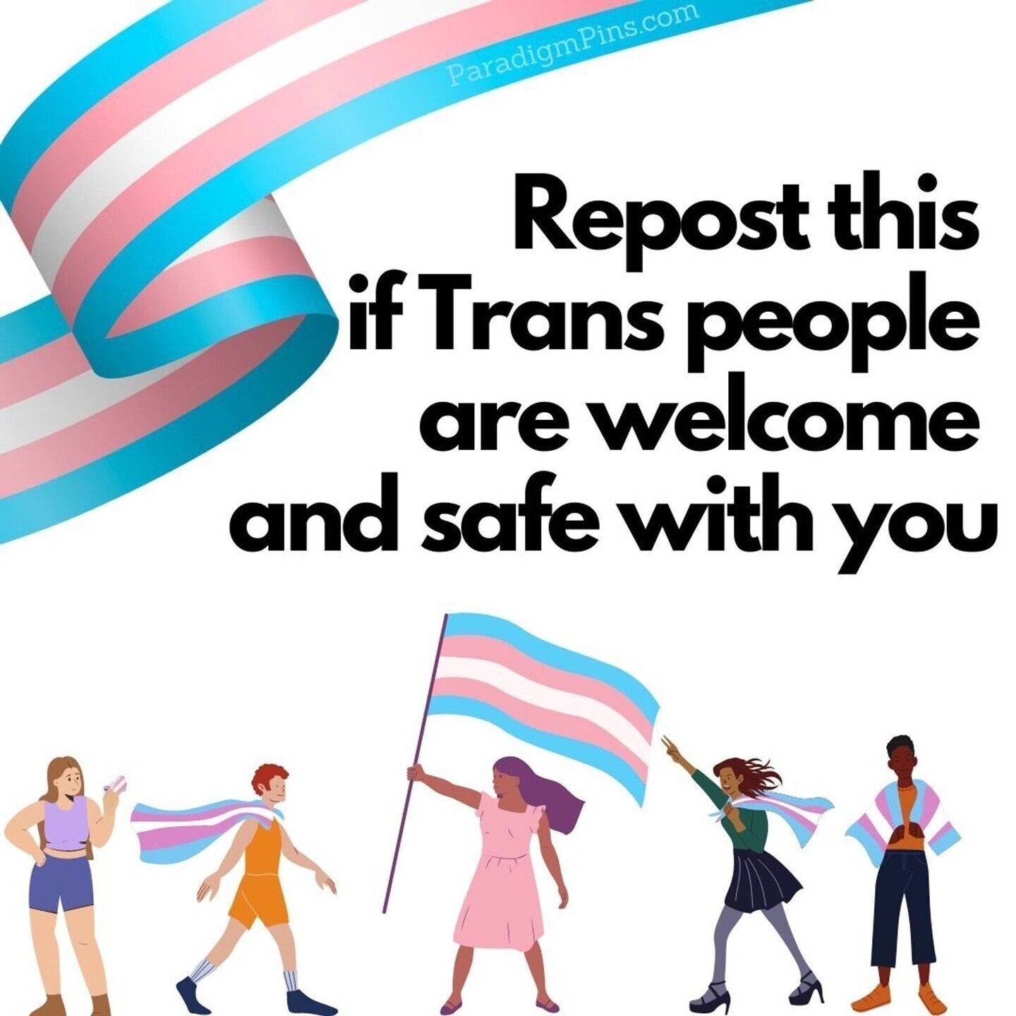 Trans flag colored banner across the top. The text "Repost this if Trans people are welcome and safe with you." in the middle. People wearing trans colors or waving trans flags along the bottom.