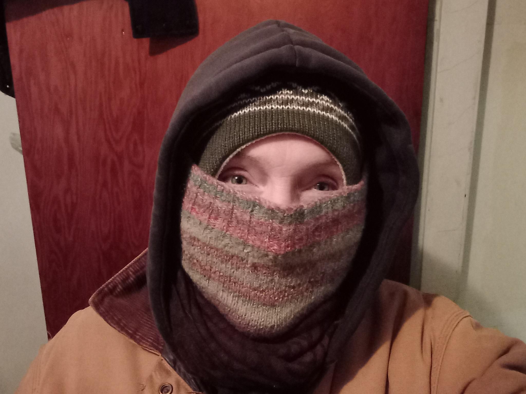 Me, looking at the camera from underneath many layers so only my eyes are visible.  There's a green winter hat, a warm stripey face cover, a brown scarf over all that, and a black hood over all that, with a tan jacket covering everything.