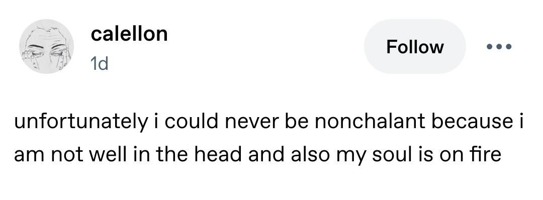 Tumblr post from user calellon

unfortunately i could never be nonchalant because i am not well in the head and also my soul is on fire