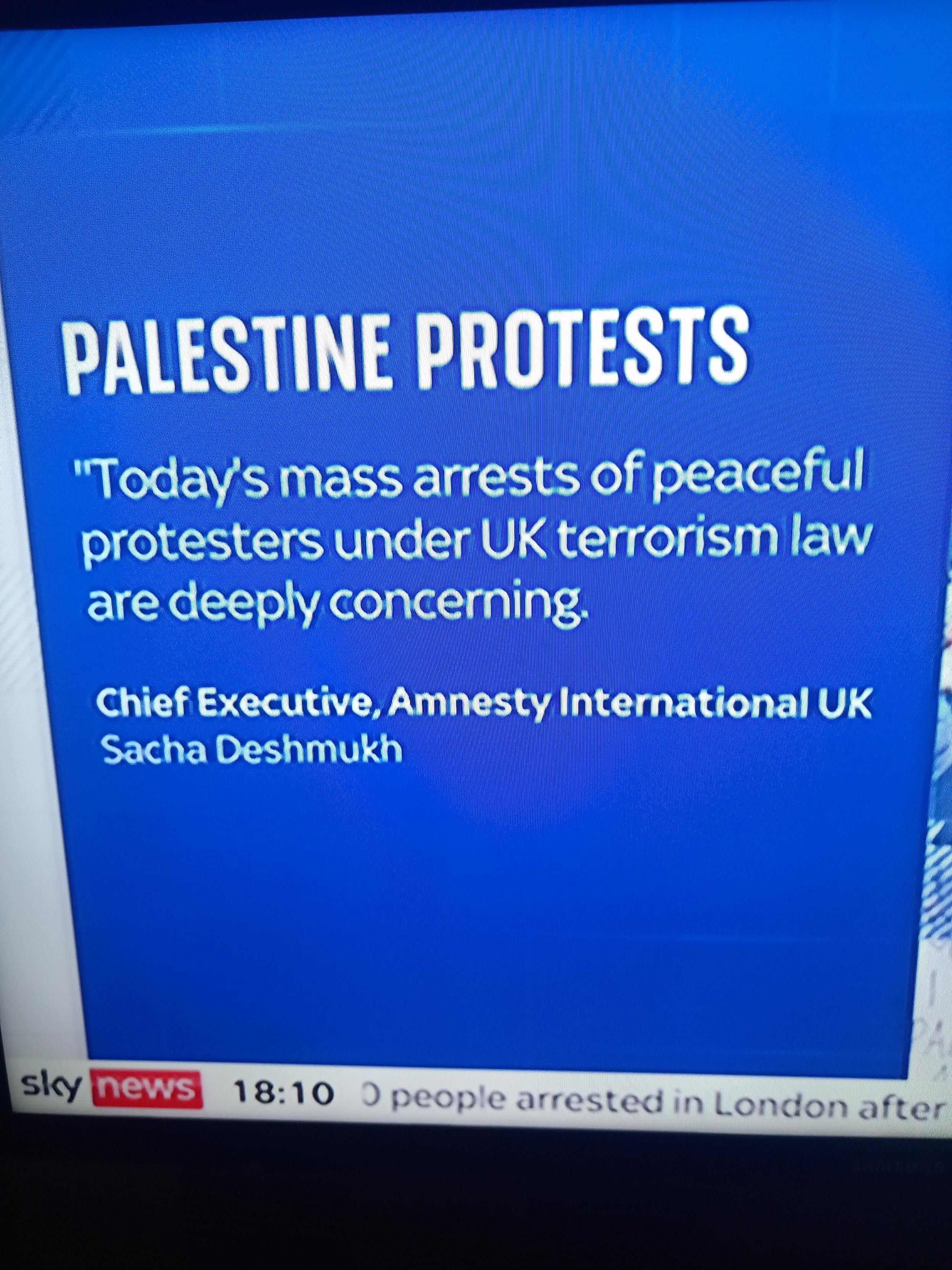 Amnesty International statement about Palestine  Action 