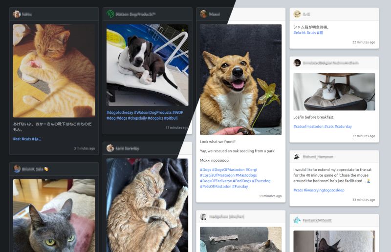 Screenshot of a Fediwall with lots of cute cats and dogs, demonstrating the dark and light theme side by side.