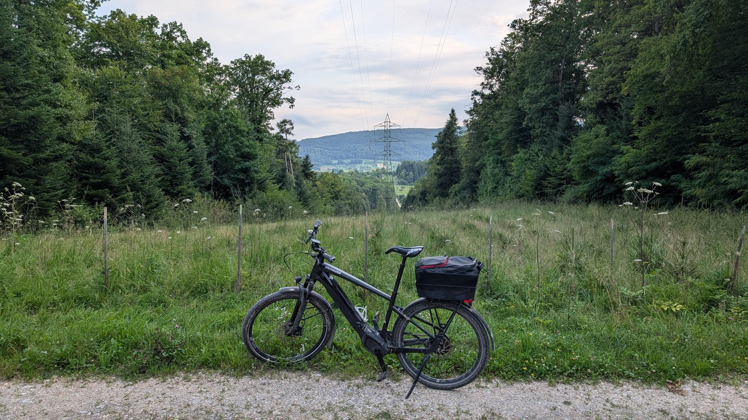 Photo of my bike on a gravel path in the woods. Behind the bike, tiny new pines grow. Overhead, power lines. A pylon can be seen in the distance.