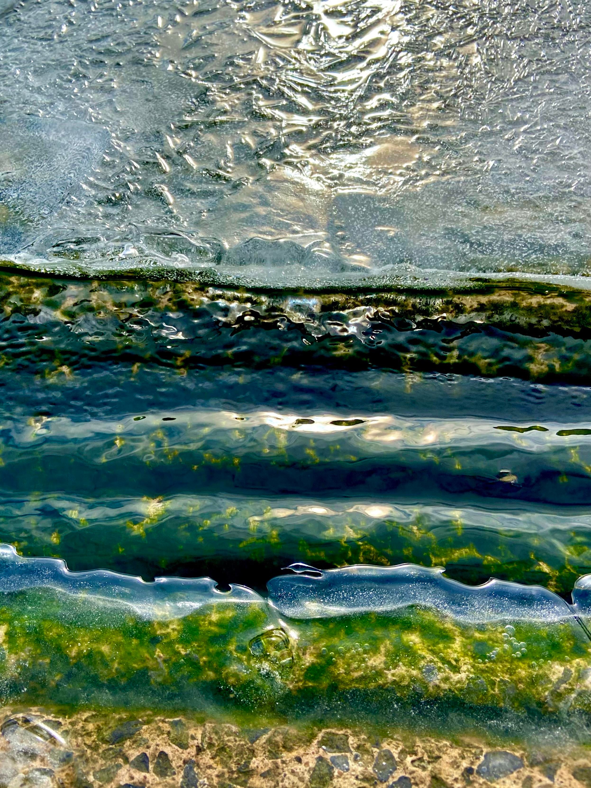 Partly frozen water ripples over a textured concrete boat ramp with bright green algae