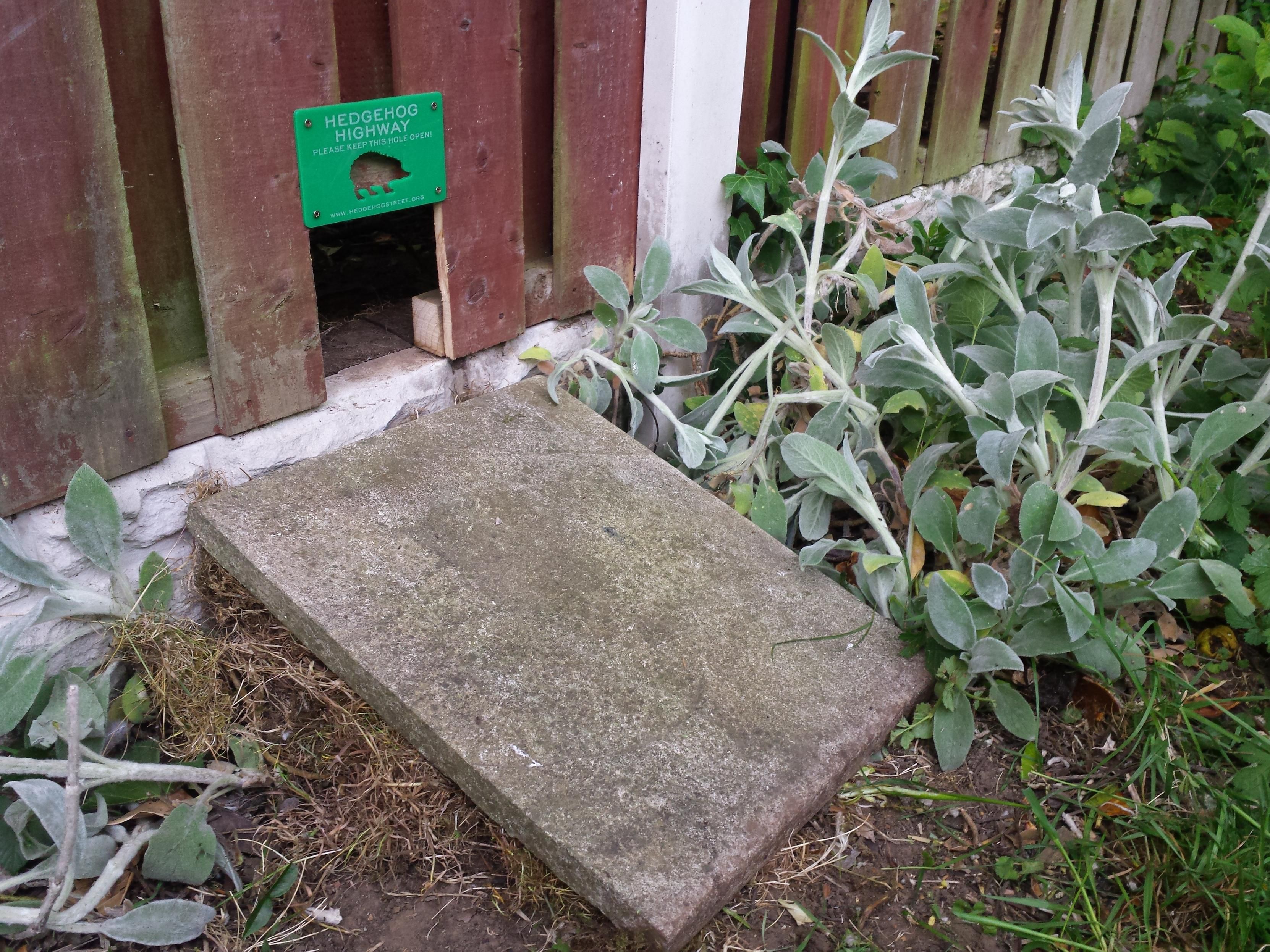Photo of a wooden panel fence. There's a hole in the bottom with a green plaque above it. There's a concrete slab acting as a ramp up to the hole. It's a hedgehog highway!
