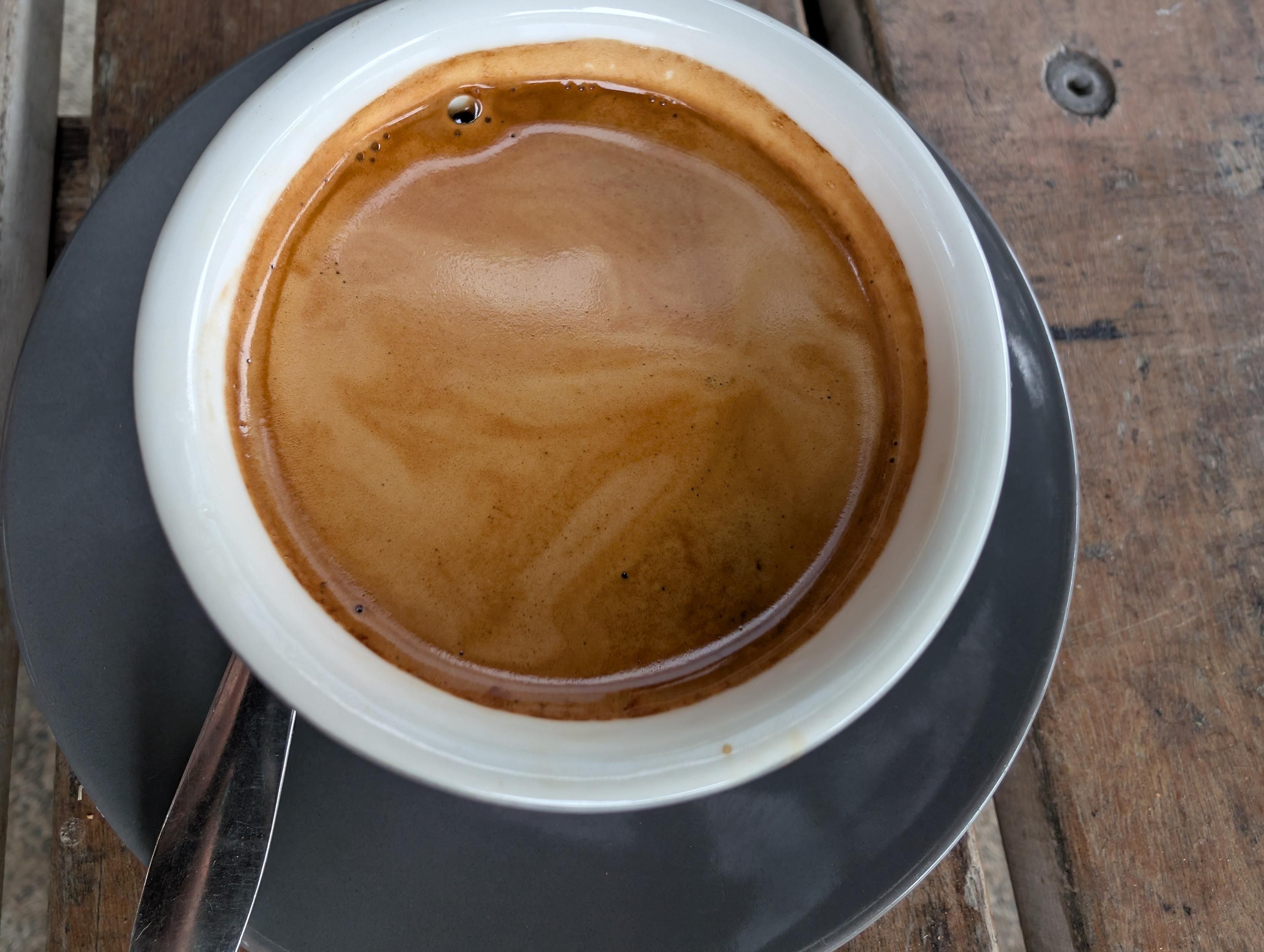 I see a T-Rex in the coffee crema but I am insane