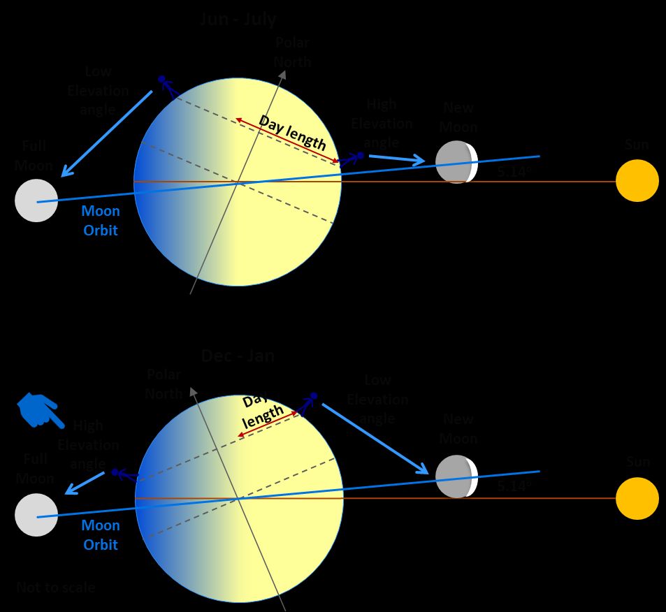 My graphic illustrating the elevation of the moon at midnight close to the solstices.

In winter, it is high in the sky in the northern hemisphere, due to the axial tilt of earth.