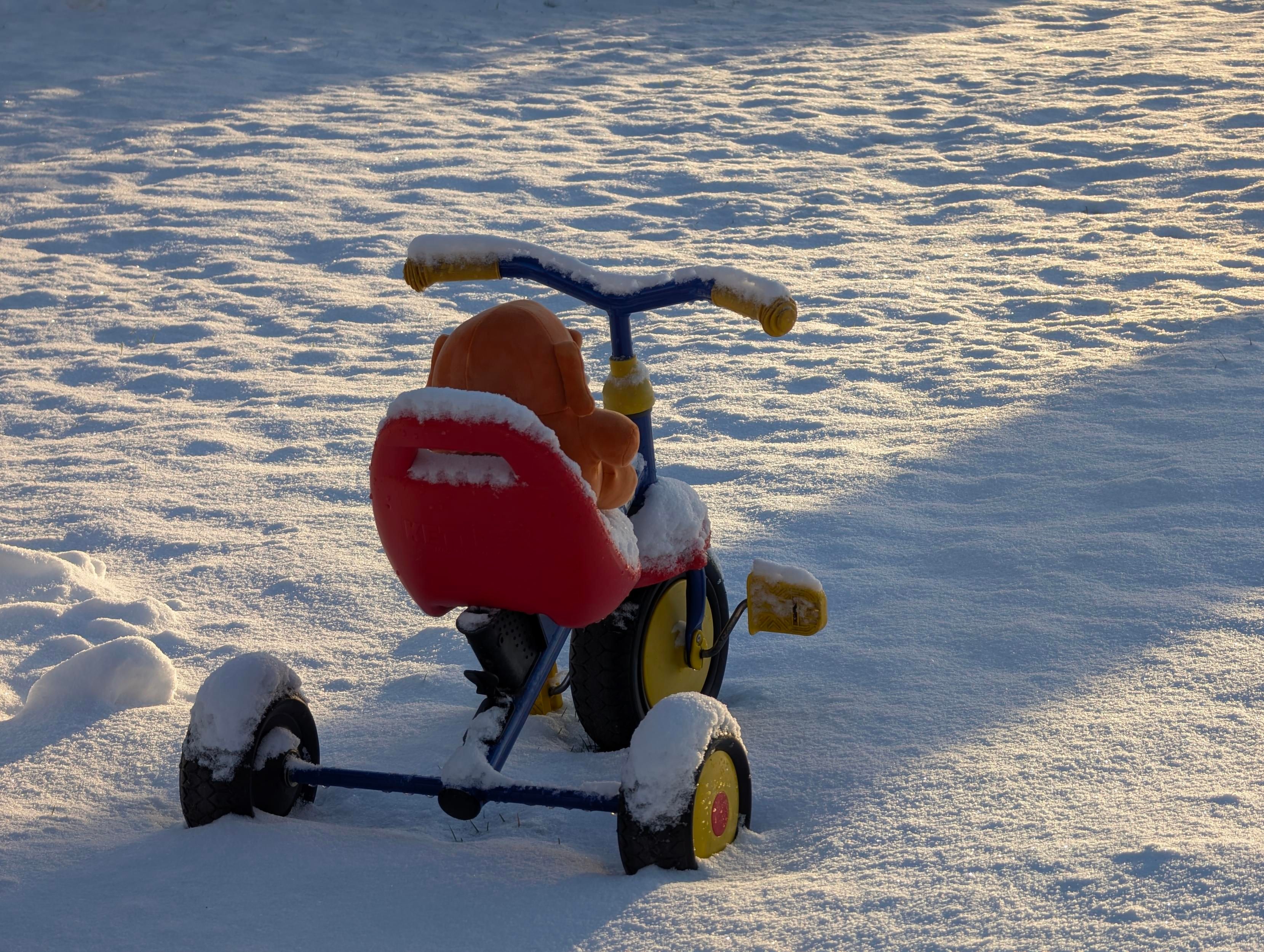 Viewed from behind, an orange Mastodon plush sits on a colorful kids tricycle, surrounded by snow