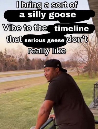 I bring a sort of silly goose vibe to the timeline that serious geese don’t really like ￼