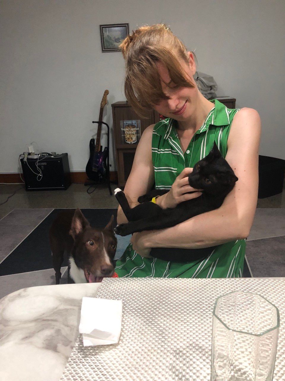 Me (young blonde woman) sitting on a chair holding a young black cat in my arms, while a border collie is trying to stealthily drop his toy on my lap because he wants to play.