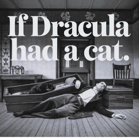 A black and white photo of a vampire asleep on the floor next to a sleeping cat in an open coffin is captioned: If Dracula Had A Cat. Has old timey vibes. 