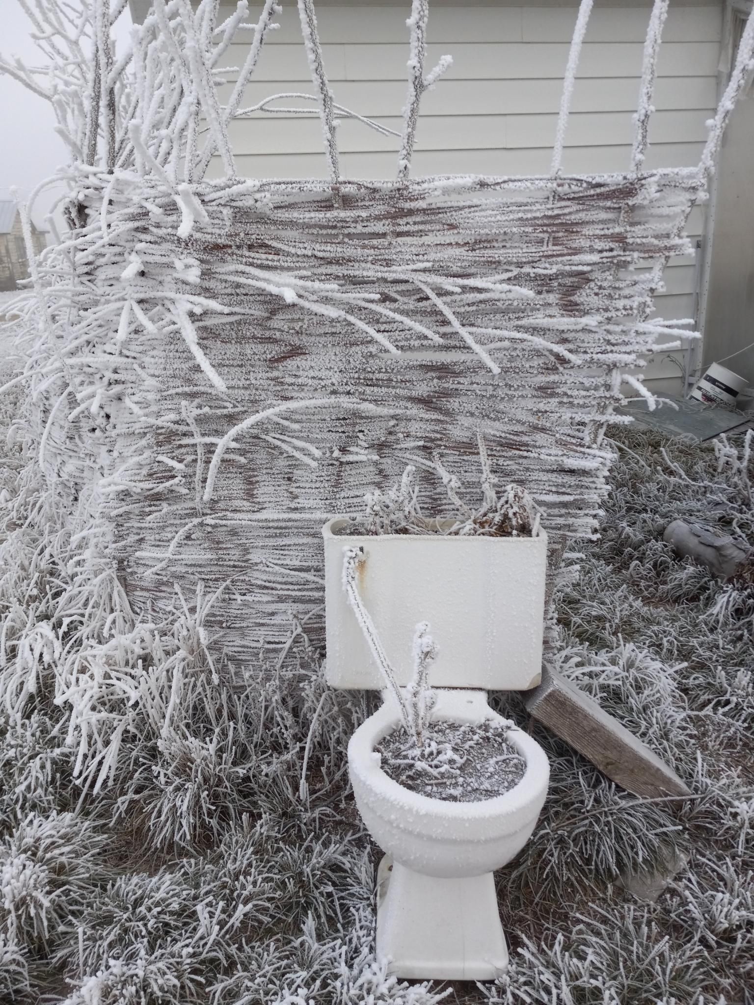 An old toilet that has been converted into a planter, completely covered with frost.  In the background is a woven-willow fence where every single stick is covered with frost.