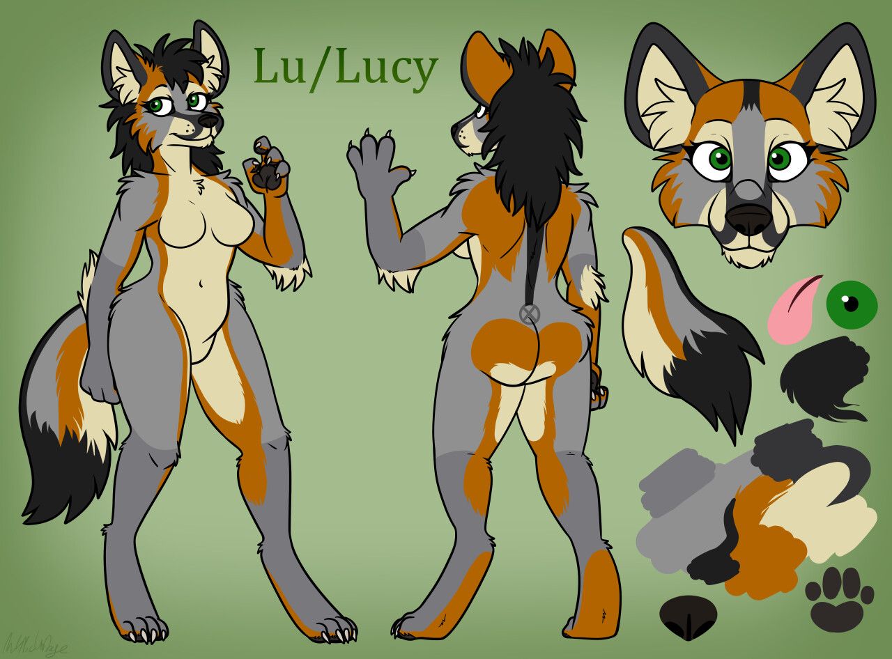 a reference sheet depicting a bipedal humanoid canid with feminine characteristics. Their fur coat is dominantly grey with a thinner stripe of orange separating a cream colored abdomen, similar to a grey fox's pattern. 

Their tail and ears are black tipped, and their shaggy long hair is also black.
