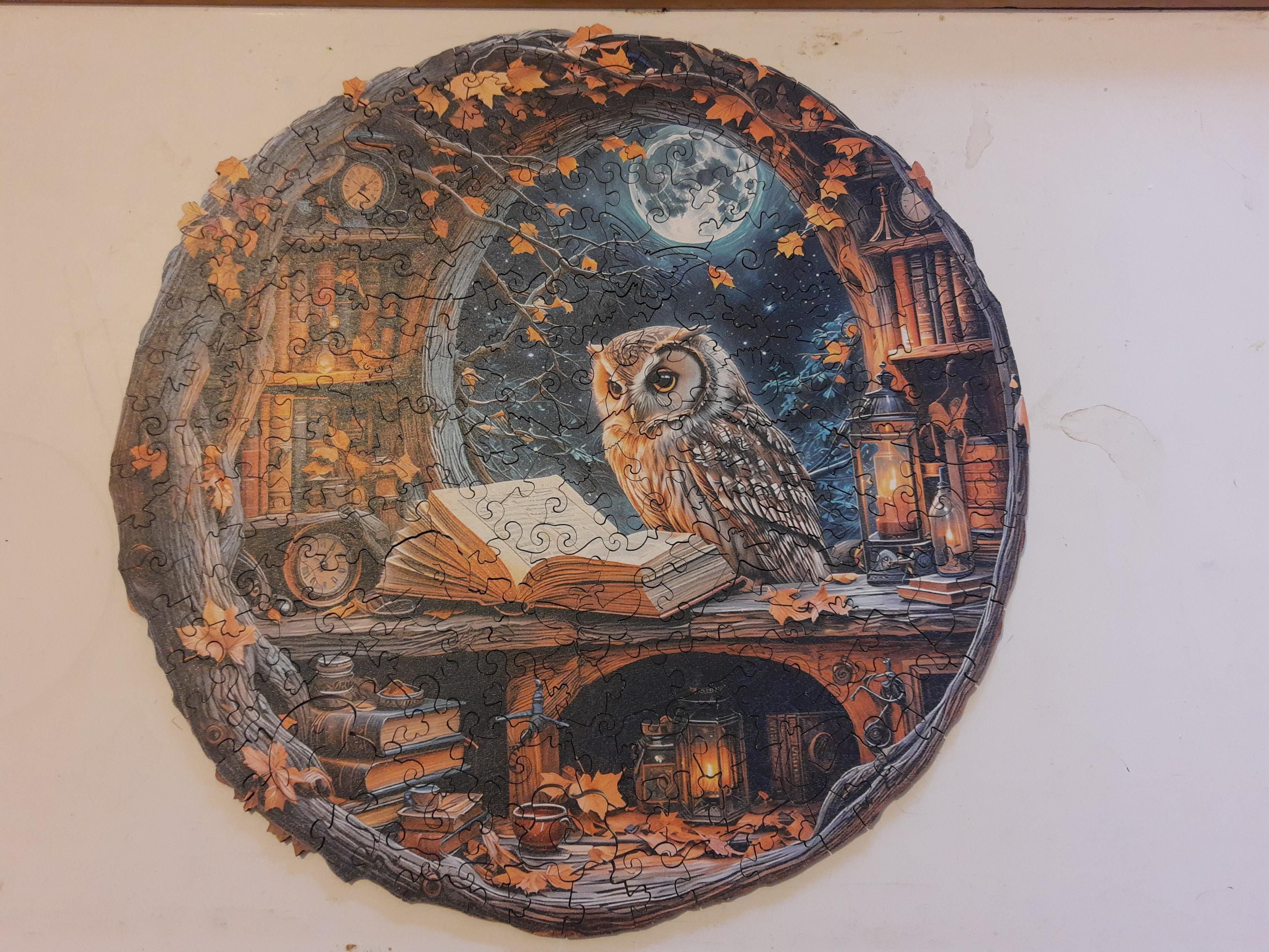 Un puzzle di forma circolare che rappresenta un gufo (o una civetta?) che legge un grosso libro, stando appollaiato su un ripiano. Alle spalle dell'animale una finestra circolare lascia entrare la luce di una luna piena. La finestra è circondata da librerie e rami, con lanterne ed orologi. 

Osservando bene si intravede che i pezzi del puzzle hanno forma strana, inclusi alcuni a forma di animale e di pianta.