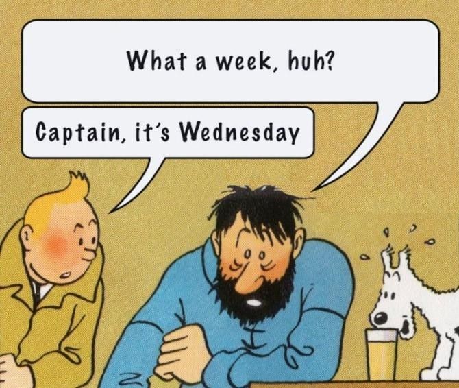 Meme tratto dall'albo a fumetti "Le avventure di Tintin". Si vedono i protagonisti (Capitan Haddock, Tintin e il cane Milou) seduti al bancone di fronte ad una birra.
Dialogo:
Capitan Haddock: "What a week, huh?"
Tintin: "Captain, it’s Wednesday"