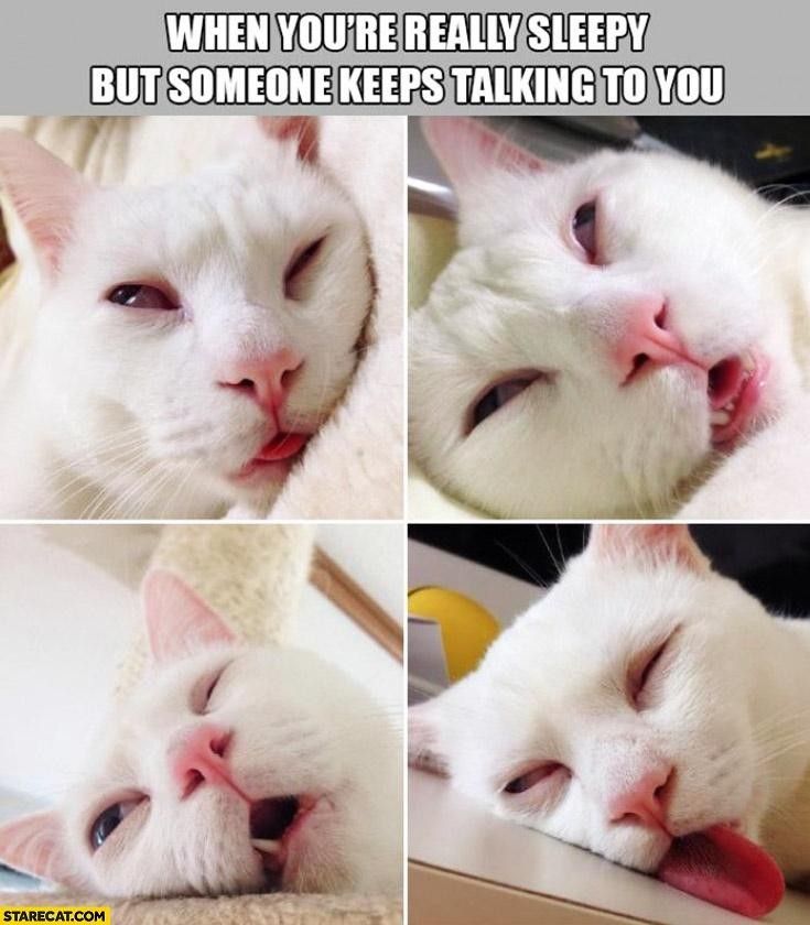The image is a collage of four close-up photographs of a white cat in various sleepy expressions. Each photograph shows the cat’s face with its eyes partially closed and its tongue sticking out slightly. The top left image displays the cat lying down with a relaxed expression. The top right image continues the sleepy theme but from a different angle, showing more of the cat's face. The bottom left photo shows the cat with one eye slightly more open, and its mouth slightly more ajar, revealing a tooth. The bottom right picture features the cat resting its head on a surface with its tongue extended more prominently. The images convey a sense of drowsiness and humor.

Transcribed Text:

WHEN YOU'RE REALLY SLEEPY BUT SOMEONE KEEPS TALKING TO YOU