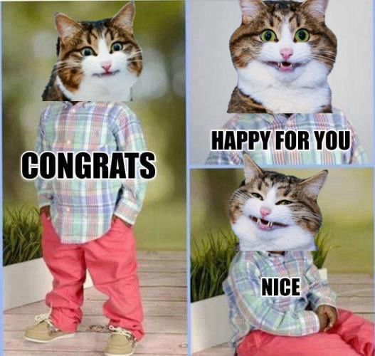 Congrats, happy for you, nice. 