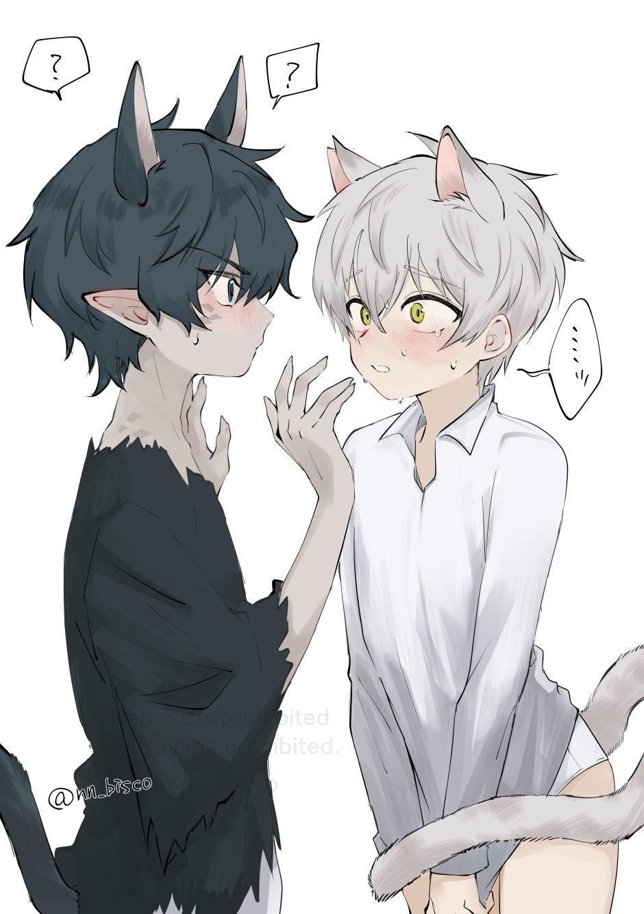 Two catboys. One with black hair and black clothes, and one with white hair and white clothes. The white-haired one somehow forgot to put on his pants.