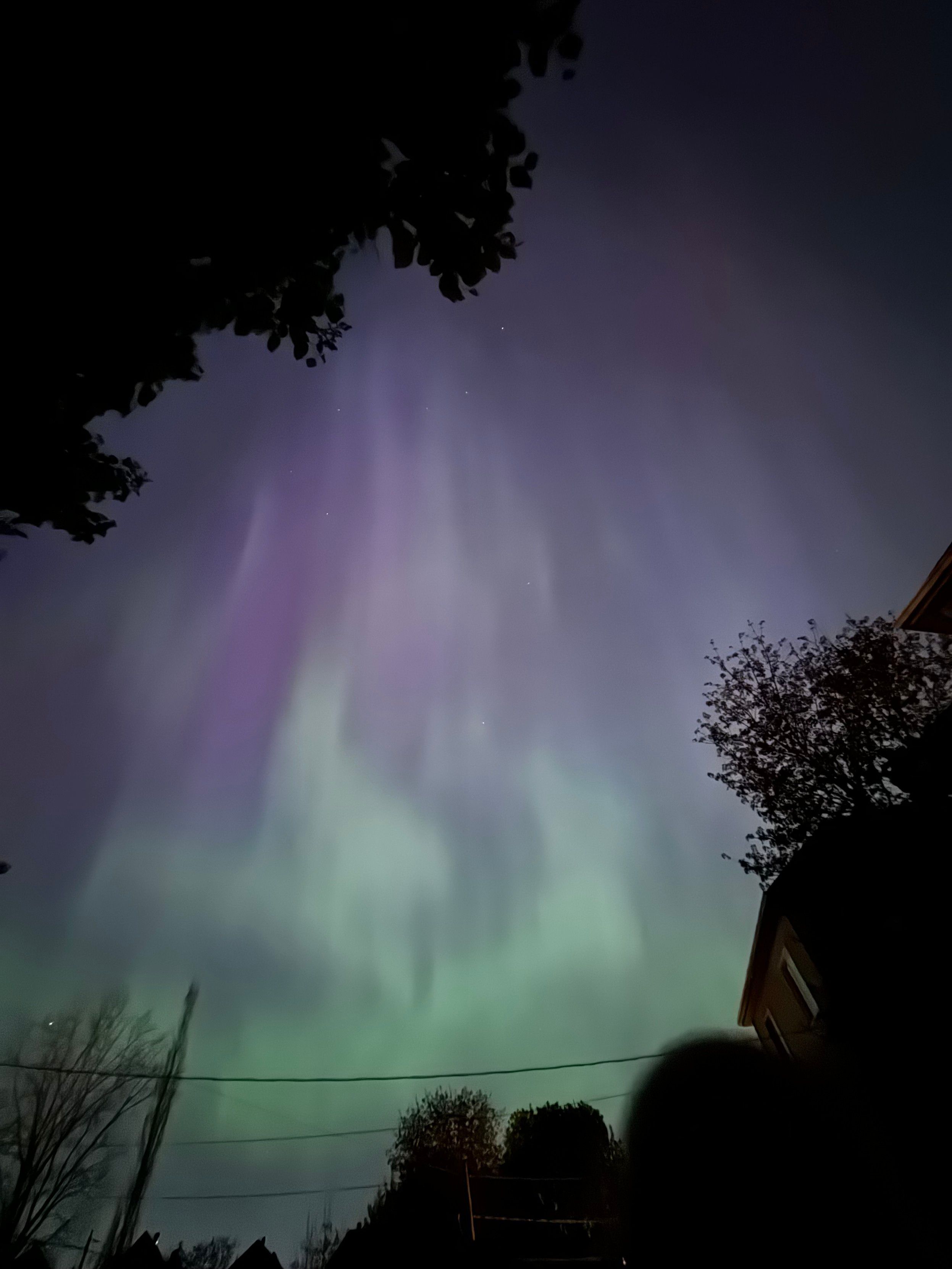 Aurora borealis purple/blue next to houses and trees