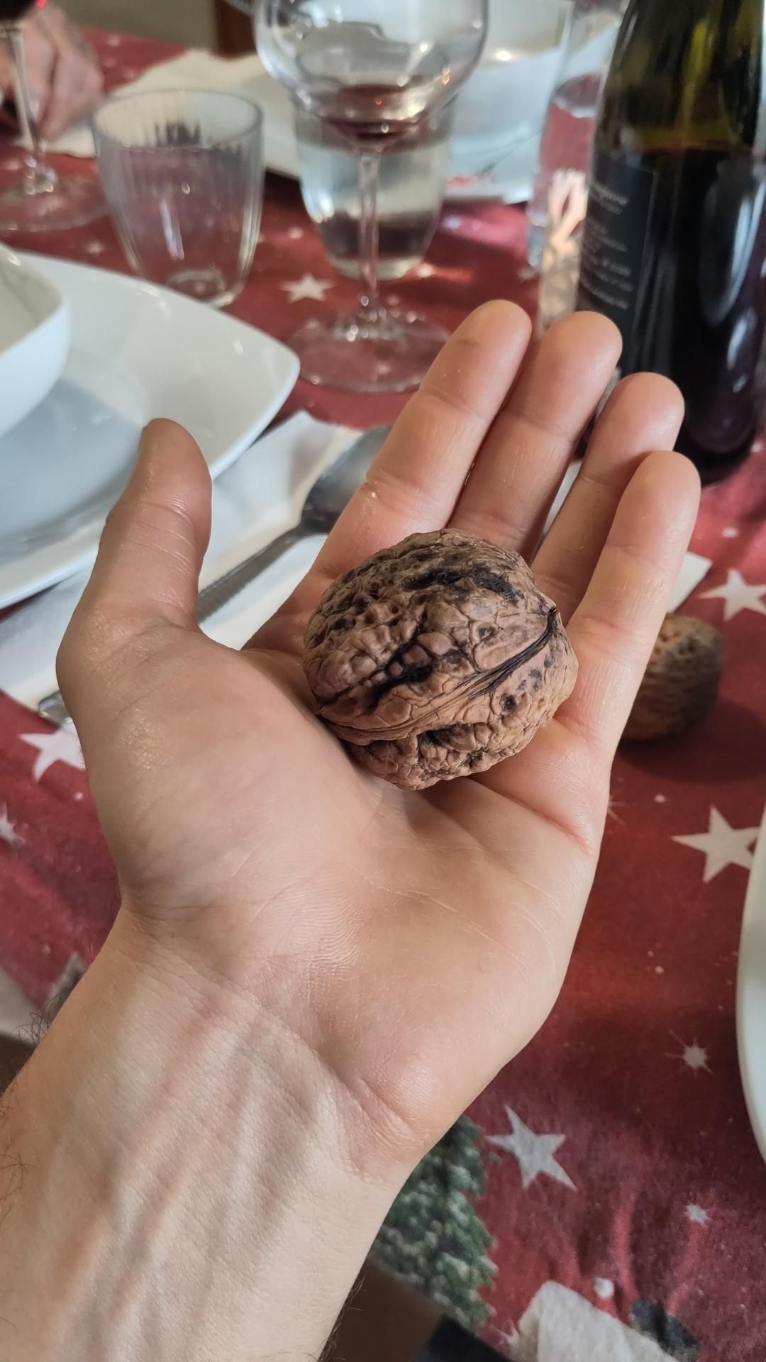 una mano aperta con una noce esageratamente grande, sullo sfondo una tavola imbandita per Natale