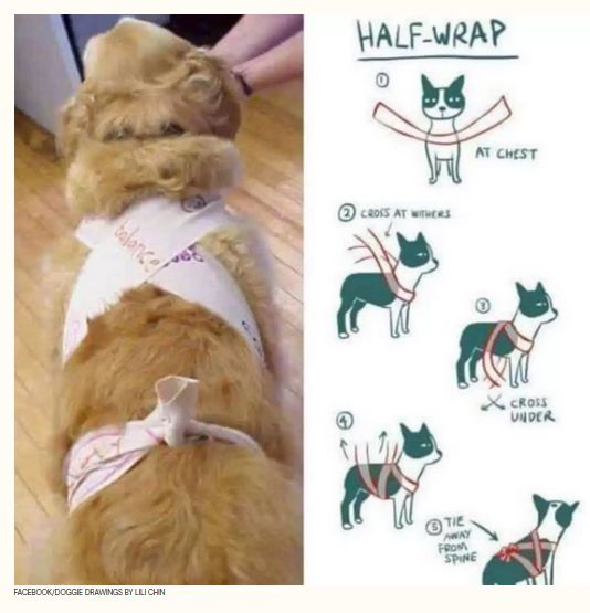 Vasemmalla kuva kooirasta, jonka ympärille on sidottu tiukasti pitkää kangaskaistaletta. Oikealla piirroskuva, miten ko. sidonta tehdään.