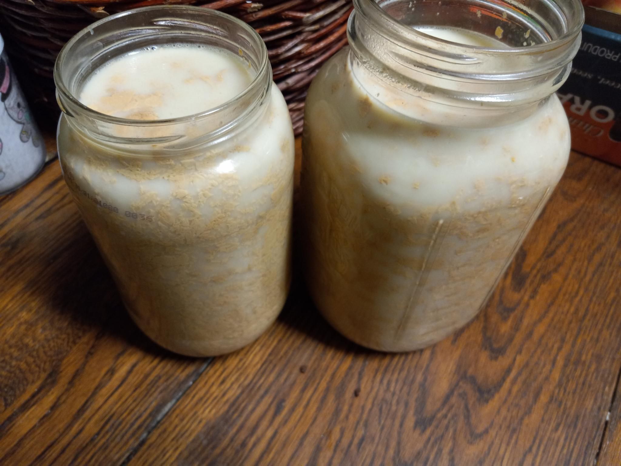 The same jars after adding kefir starter, so the whey the curds are floating in is now cloudy white.