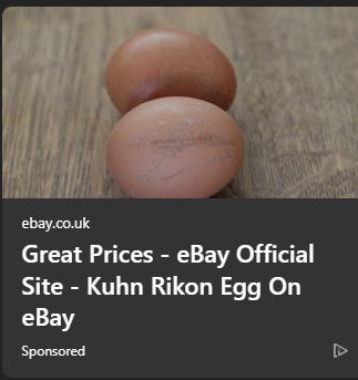 ad: "Great Prices - eBay Official Site - Kuhn Rikon Egg On eBay", illustrated by a picture of two eggs, link to ebay.co.uk