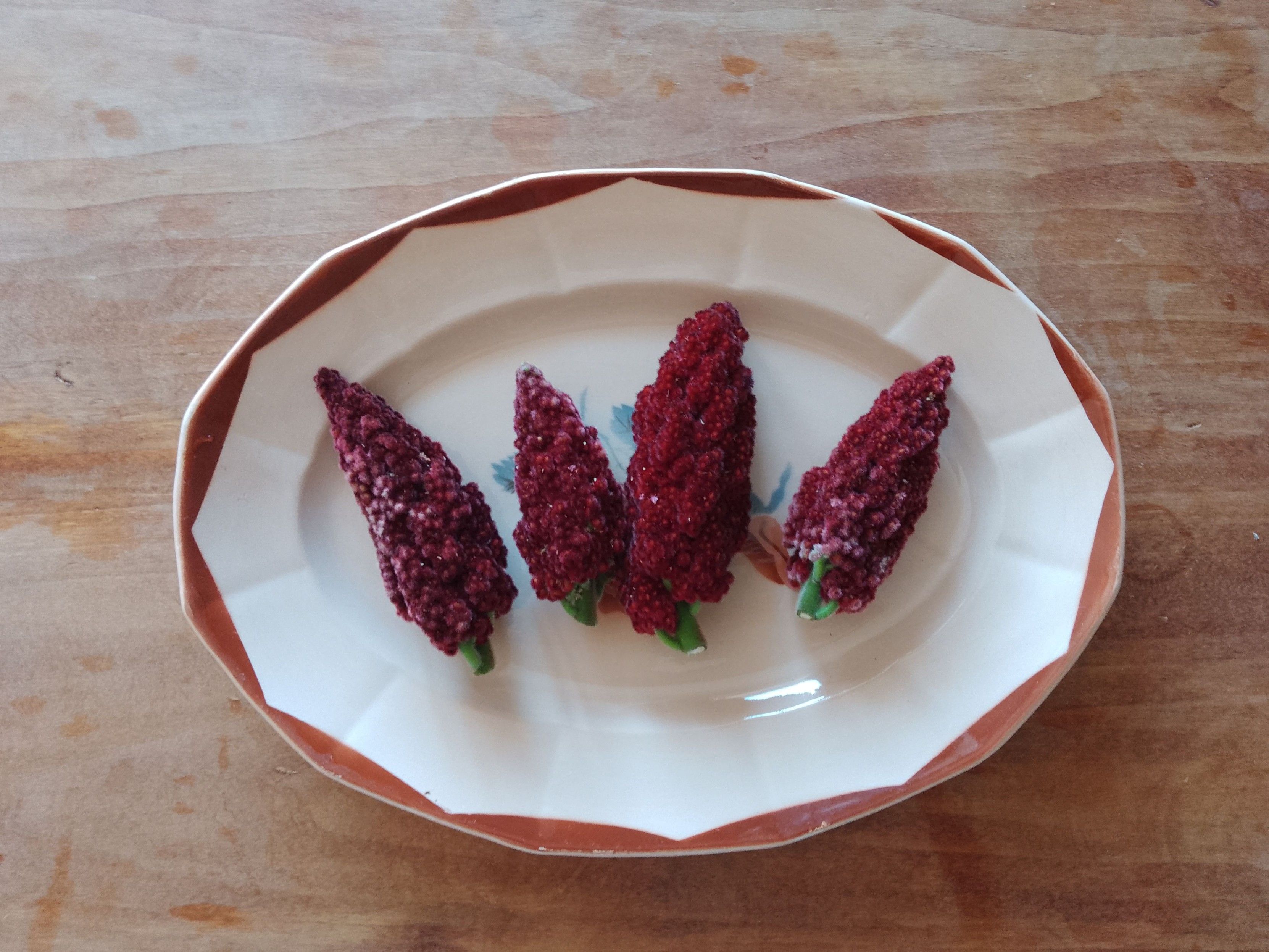 4 cônes de sumac rouge profond (d'aspect granuleux car ce sont des grappes de graines) dans un plat ovale ancien beige bordé du même rouge