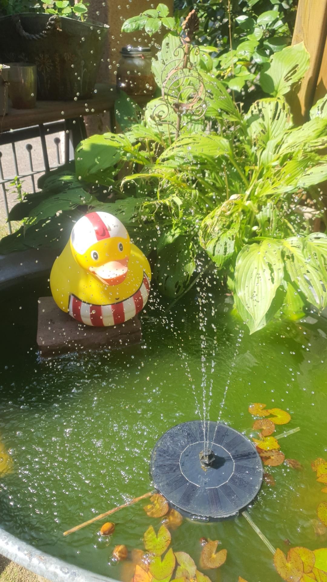 Alter Zinkzuber mit Wasser gefüllt. Links steht ein Sandstein auf dem eine große Quietscheente sitzt. Rechts eine solargetriebene Easserfontäne