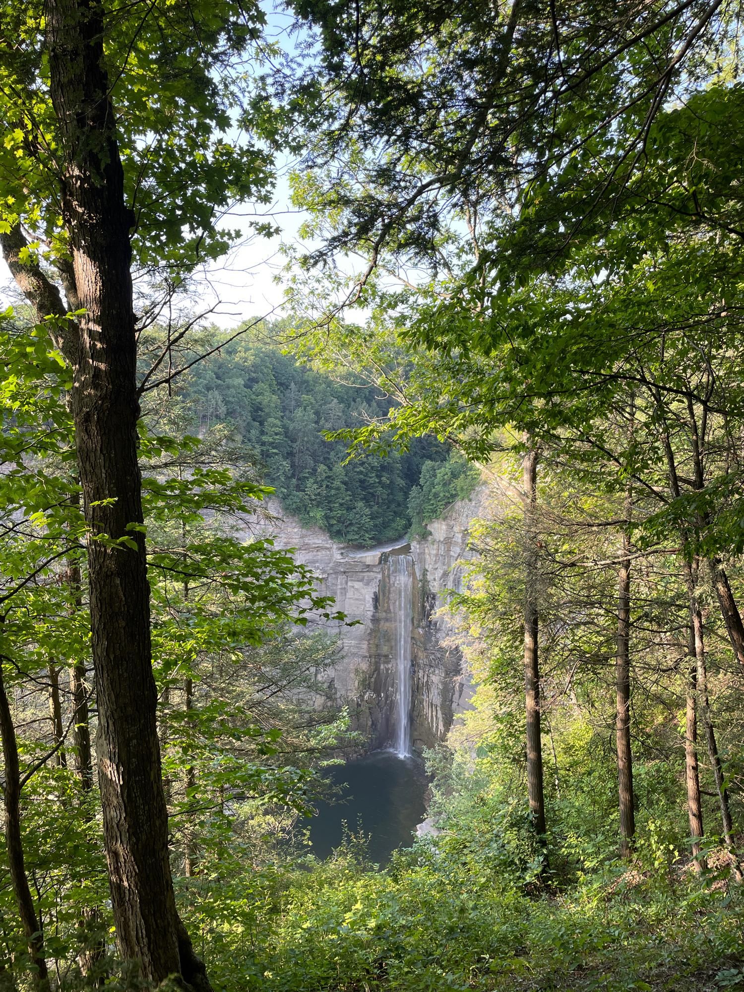 A tall waterfall coming down a rock wall beyond a lush, green forest.