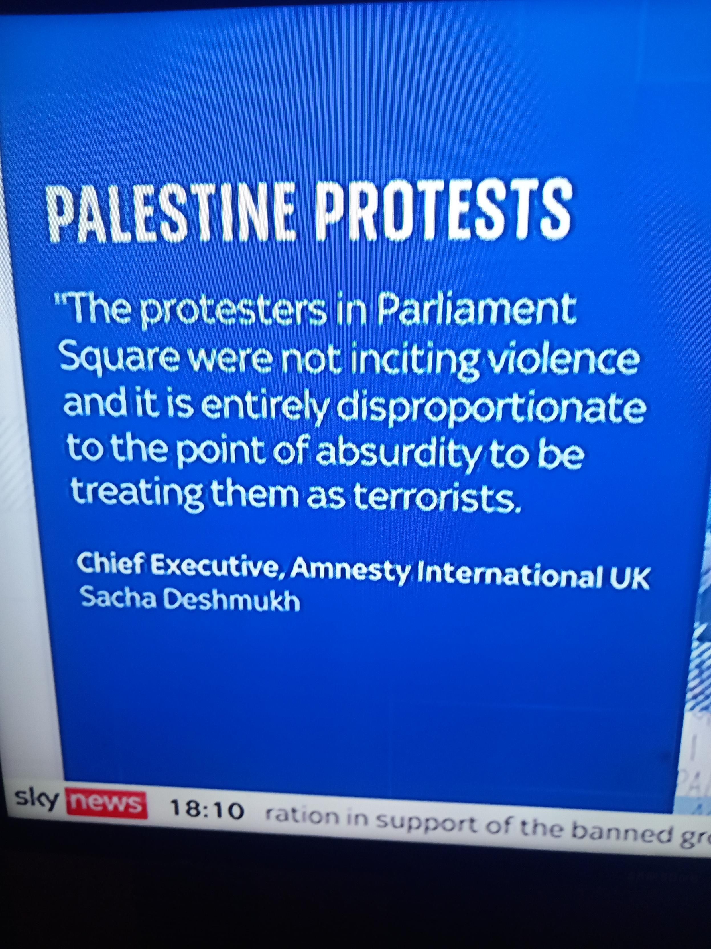 Amnesty International statement about Palestine Action 