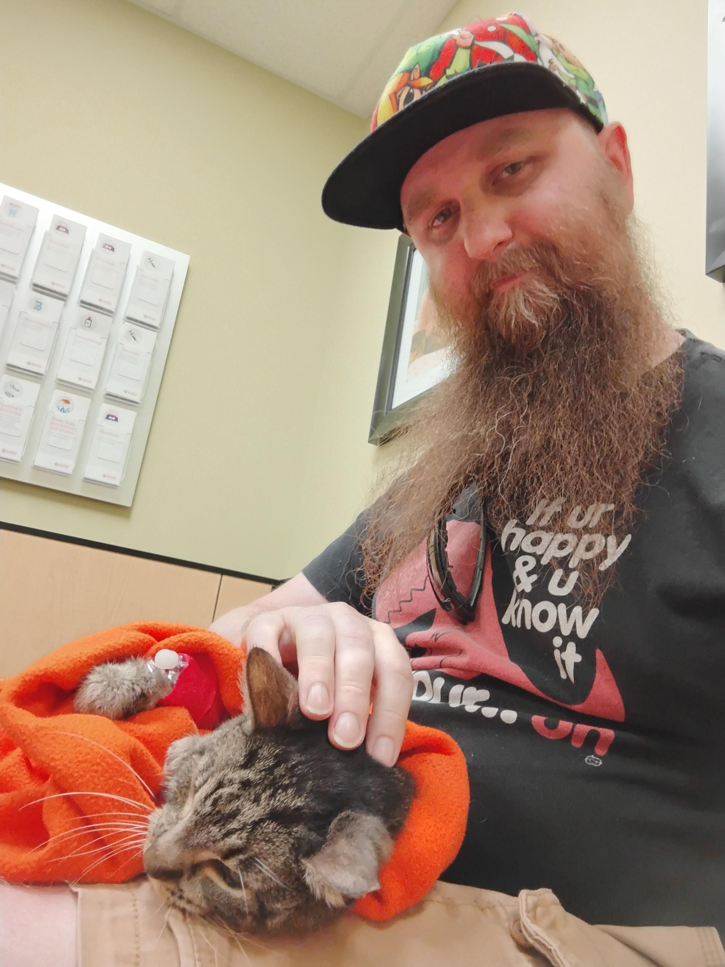 Image of Tali Zorah, a tabby cat, resting on her humans lap while sharing the same photo with her human.