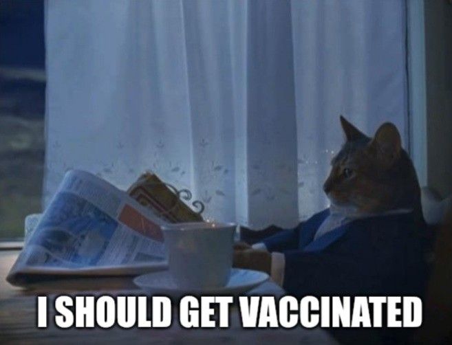 meme di un gatto in giacca e camicia che legge il giornale con una tazza di caffè ( o tè) con scritto: I should get vaccinated 