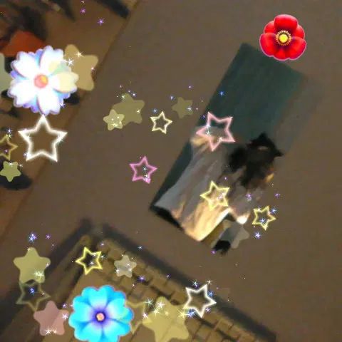 Foto di me allo specchio mezza storta scattata col 3DS con le varie decorazioni con indosso una felpa chiara e le orecchie da gatto.