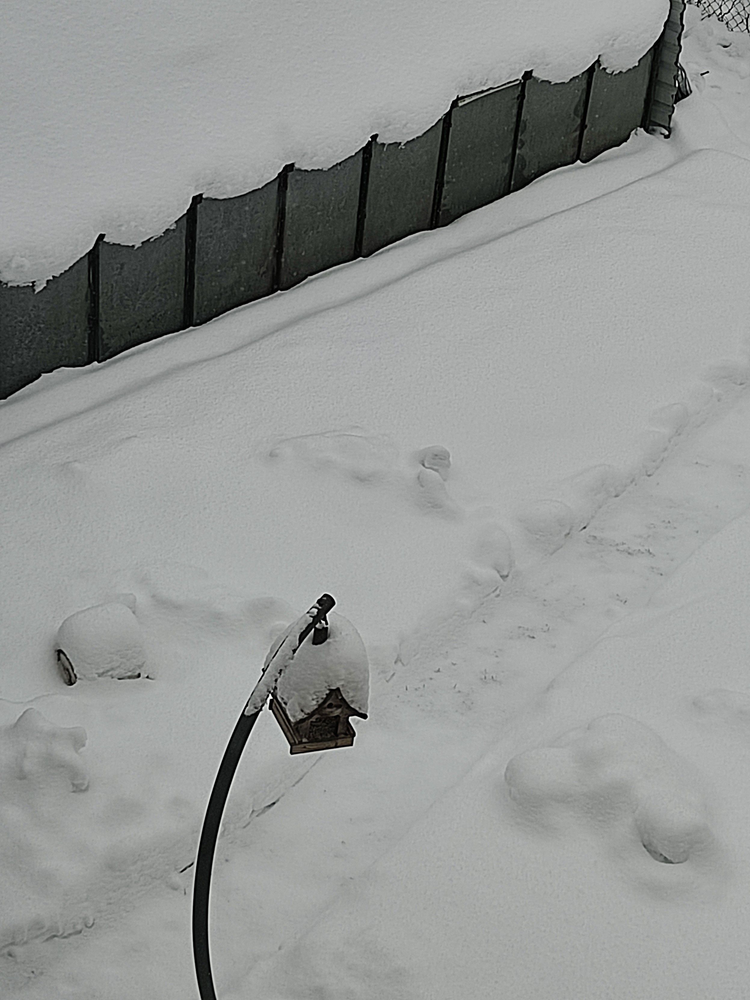 Casetta per mangiatoia di uccellini sepolta dalla neve 