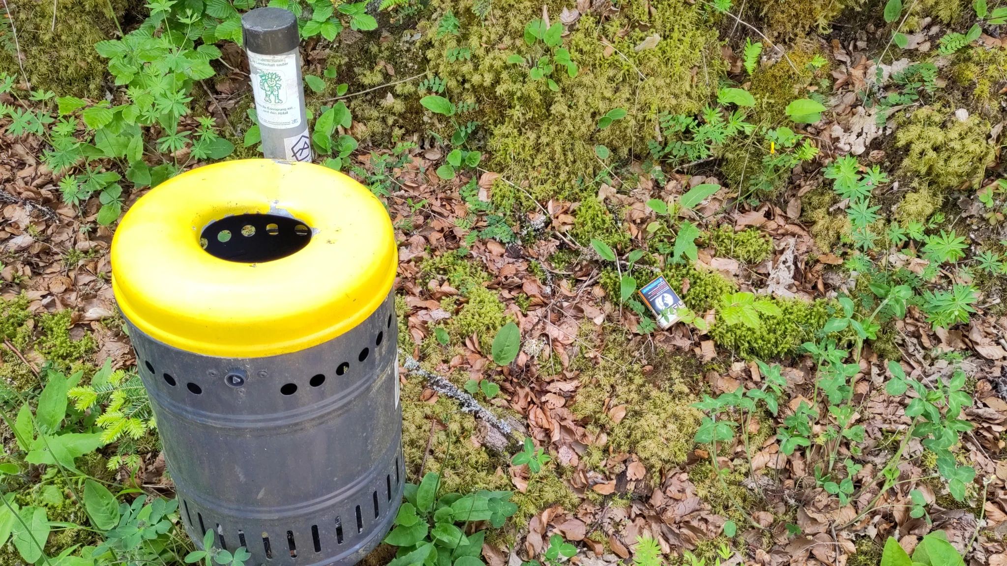 Mülleimer direkt vor der Burgruine, in der wir leere Plastikflaschen eingesammelt haben.