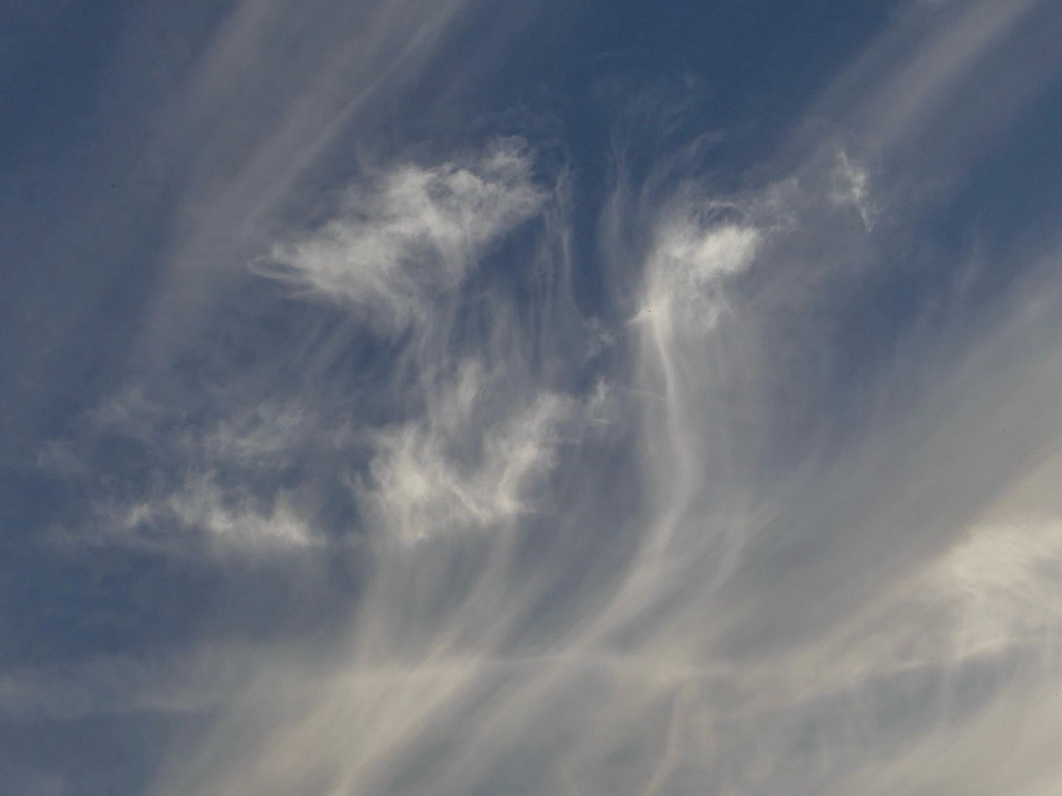 Interesting wispy cloud formations in the evening sky. I see an unidentified being riding a sea serpent
