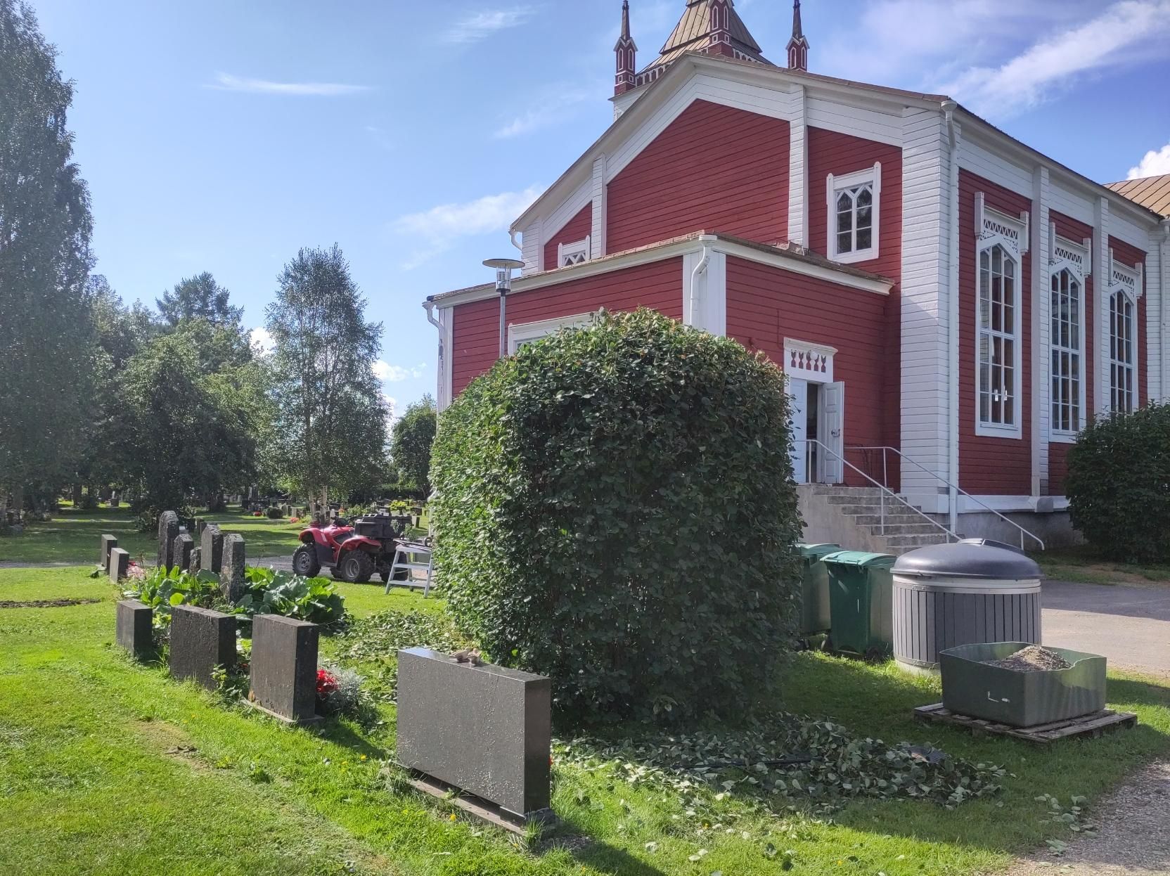 Leikattuna marjatuomipihlaja