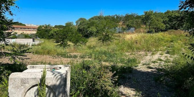 Immagine relativa all'articolo