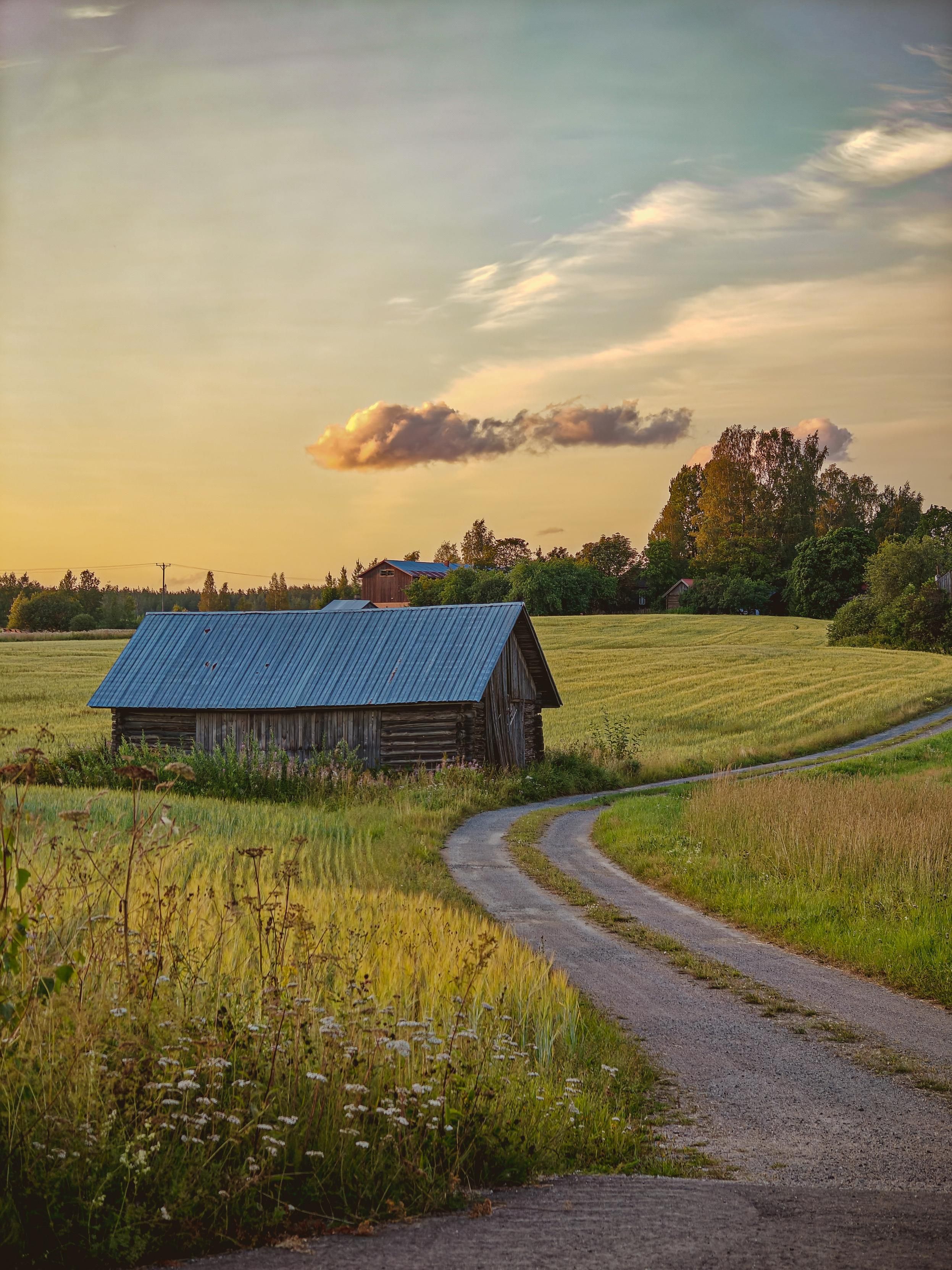 Elokuinen maalaismaisema. Mutkitteleva hiekkatie kuvan oikealla reunalla. Peltoja tie molemmin puolin ja tien vasemmalla reunalla mutkassa on harmaantunut lato, joka on mennyt vähän vinoon aikojen saatossa. Taustalla lehtipuita ja maatilan rakennuksia. Kuva on otettu Joutsenossa, Lappeenrannassa.

An August rural landscape. A winding dirt road on the right side of the picture. Fields on both sides of the road and on the left side of the road, in a bend, there is a gray barn that has become a little crooked over time. In the background are deciduous trees and farm buildings. The picture was taken in Joutseno, Lappeenranta.