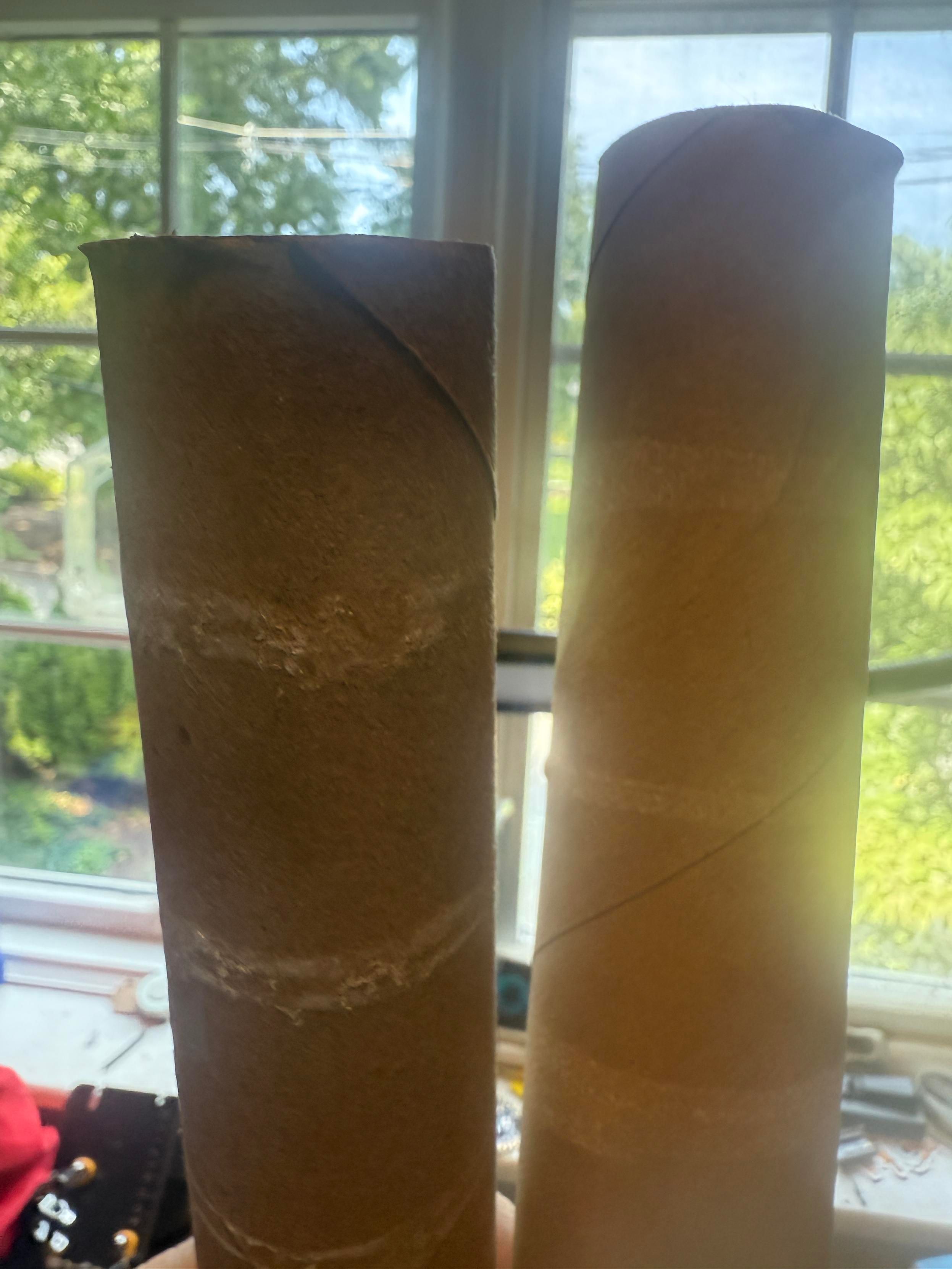 Two empty paper towel rolls.